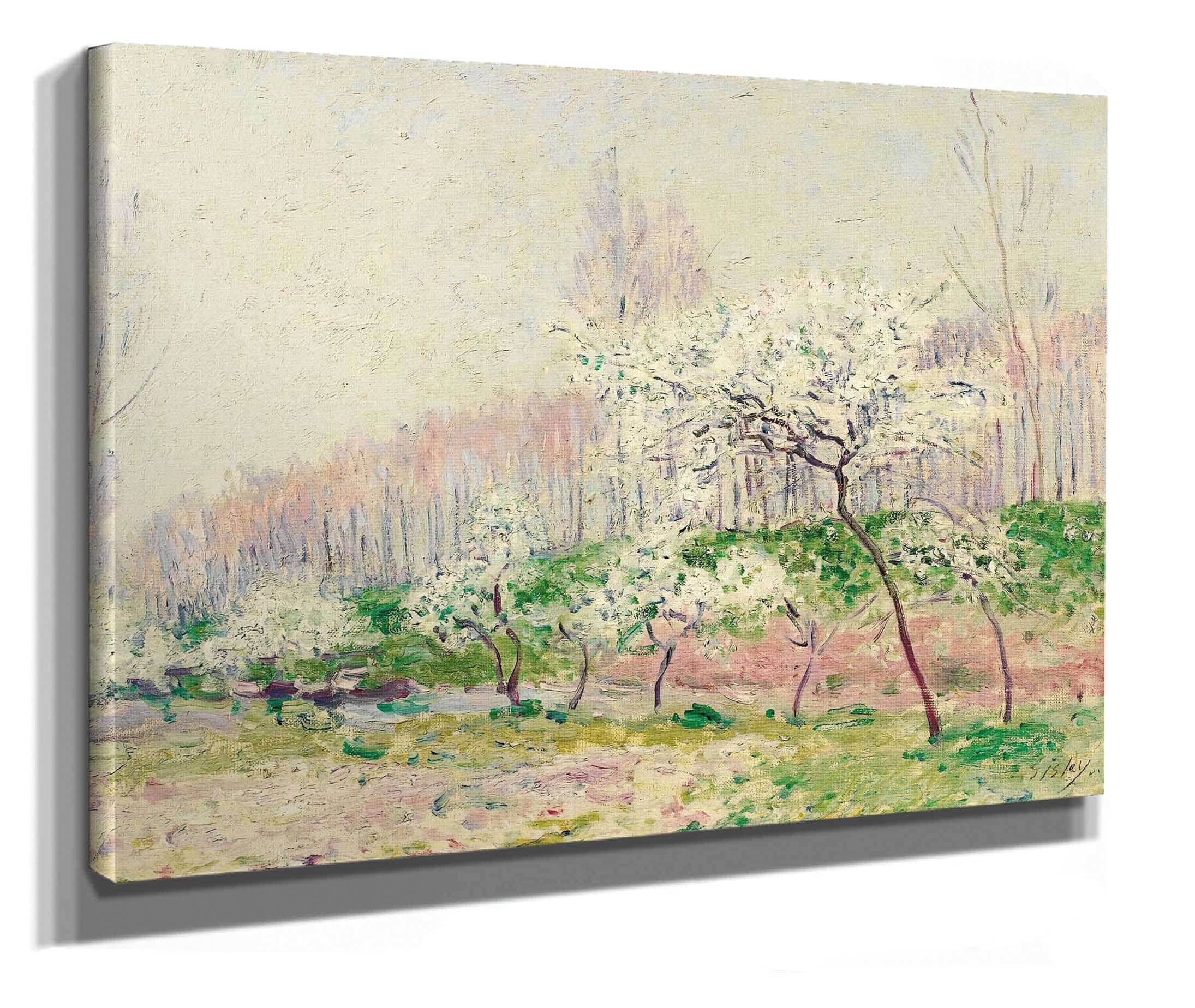 Les Pommiers En Fleurs by Alfred Sisley - Image 2