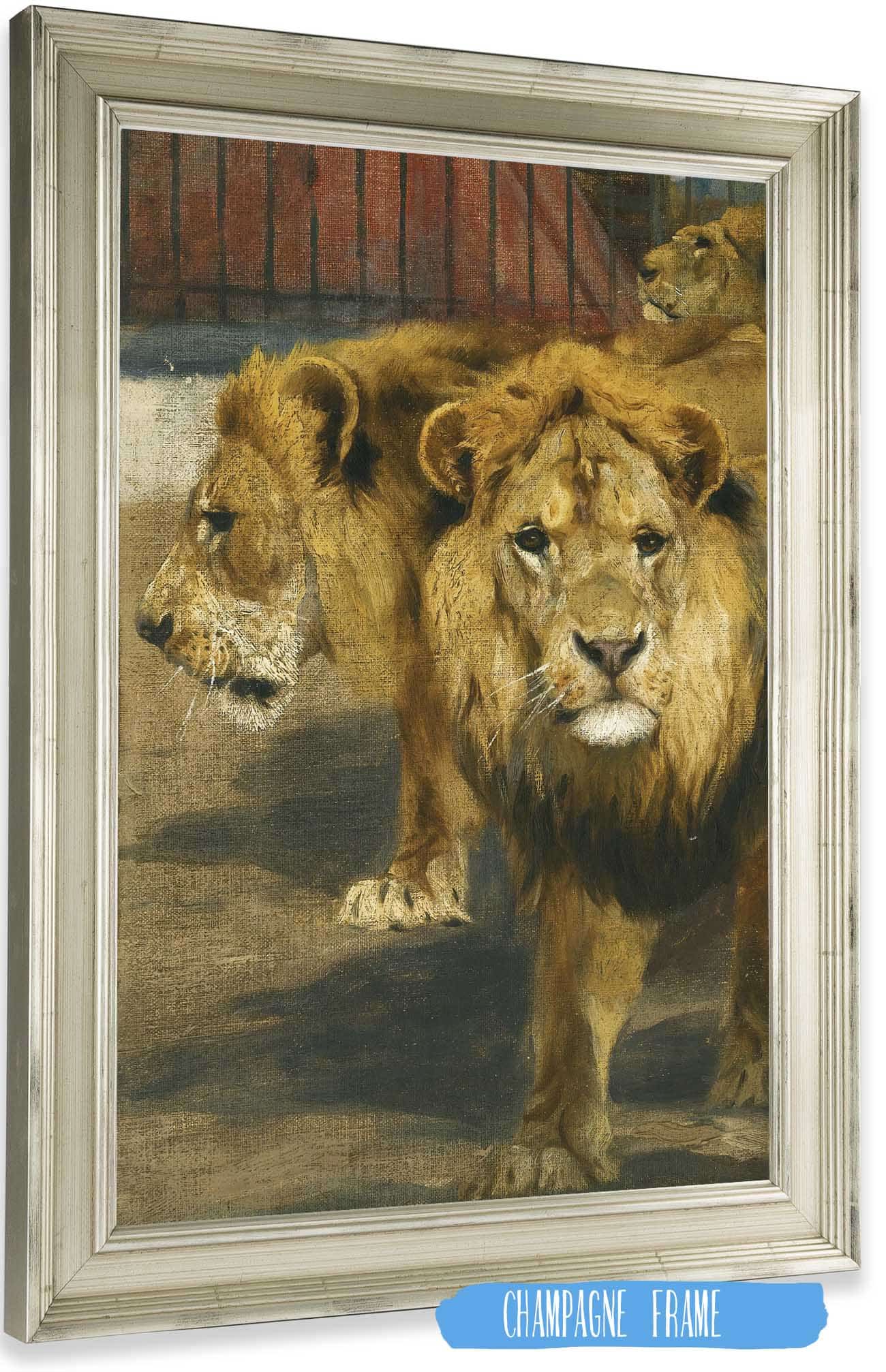 Lions by Wilhelm Kuhnert