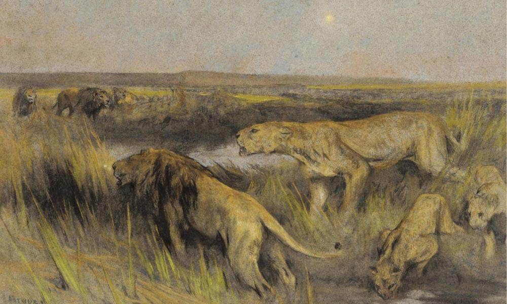 Lions In The Savannah By Arthur Wardle - Image 7