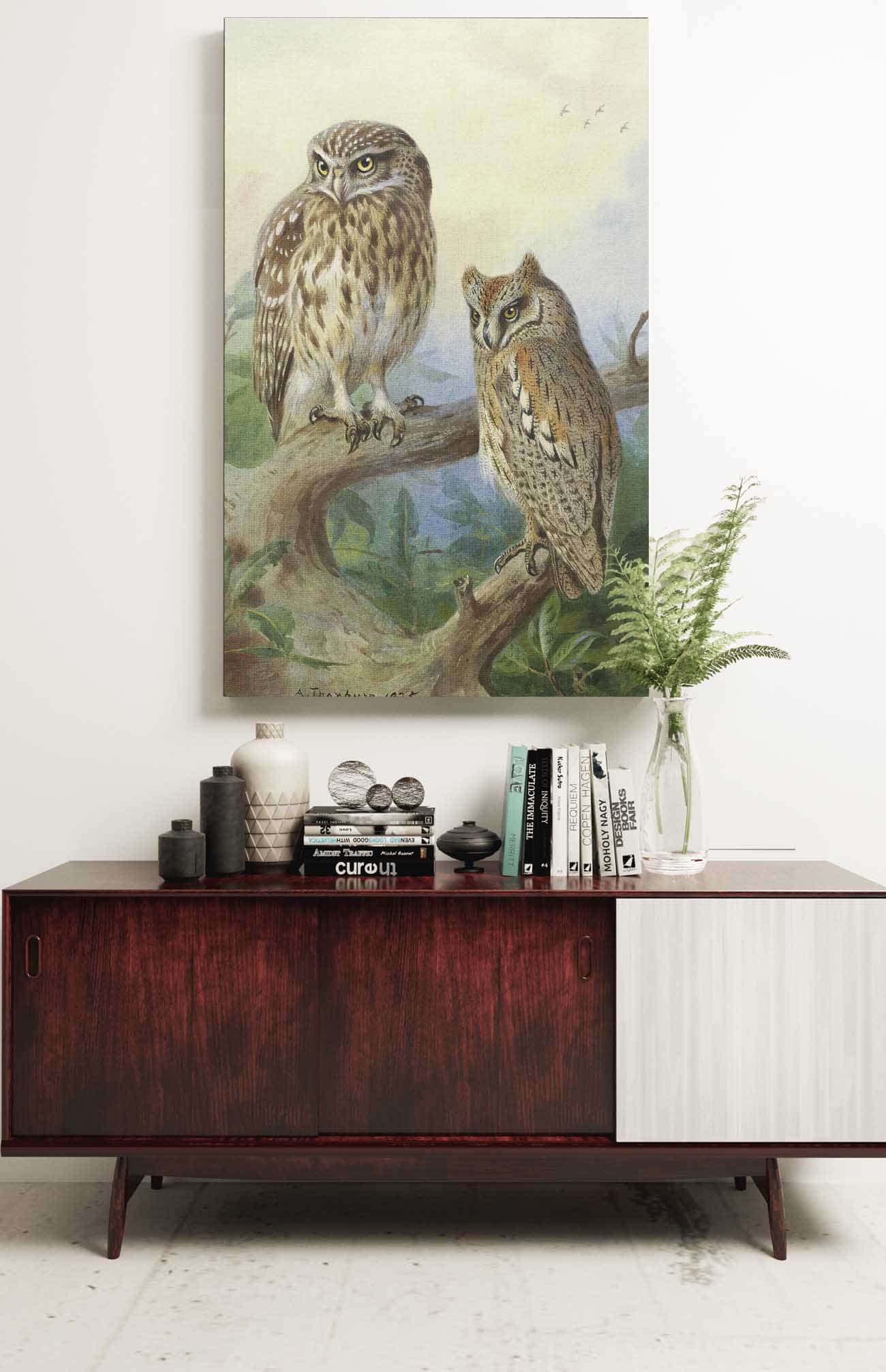 Little Owl And Scops Owl by Archibald Thorburn - Image 2
