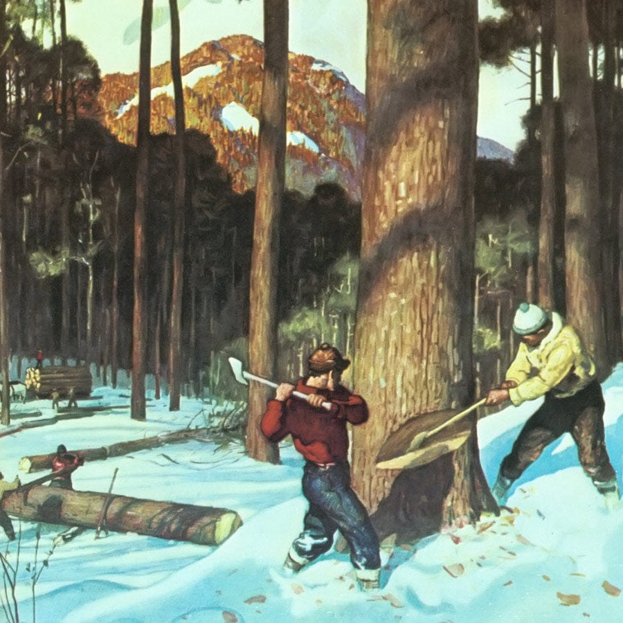Lumber By NC Wyeth - Image 5