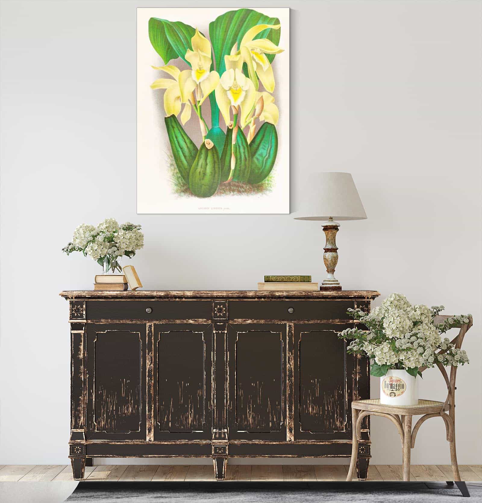 Lycaste Costata by Jean Jules Linden - Image 4