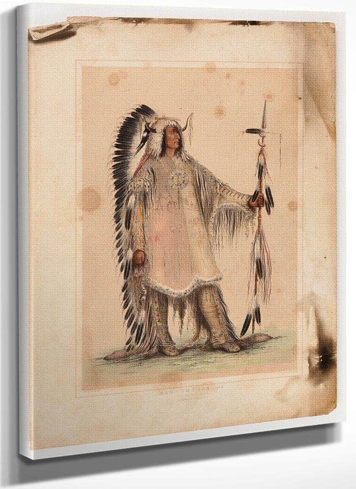 Mah To Toh Pa, The Mandan Chief By George Catlin