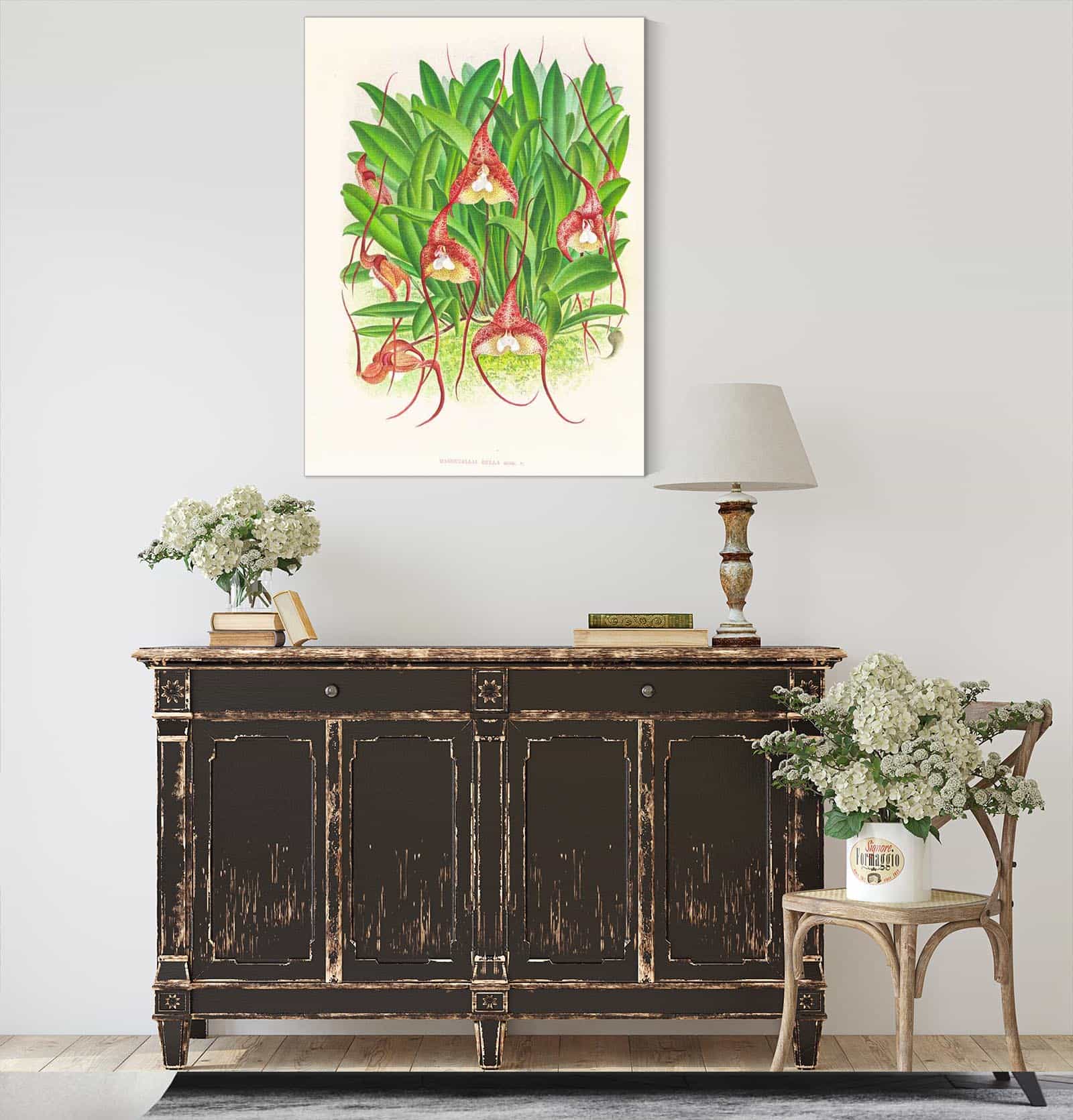 Masdevallia Bella by Jean Jules Linden - Image 4