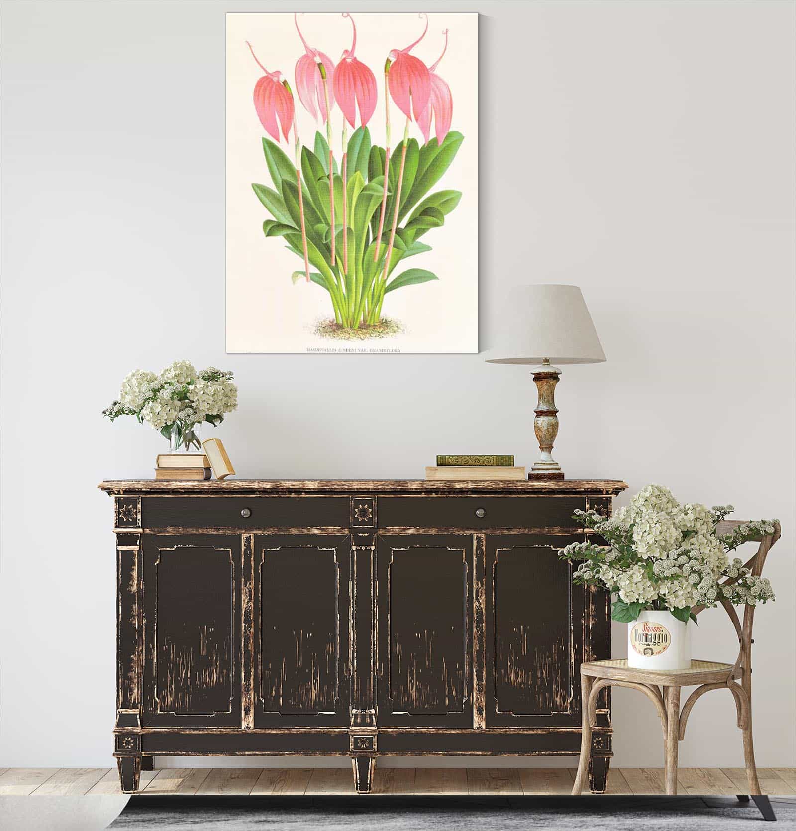 Masdevallia Lindeni Var Grandiflora by Jean Jules Linden - Image 4