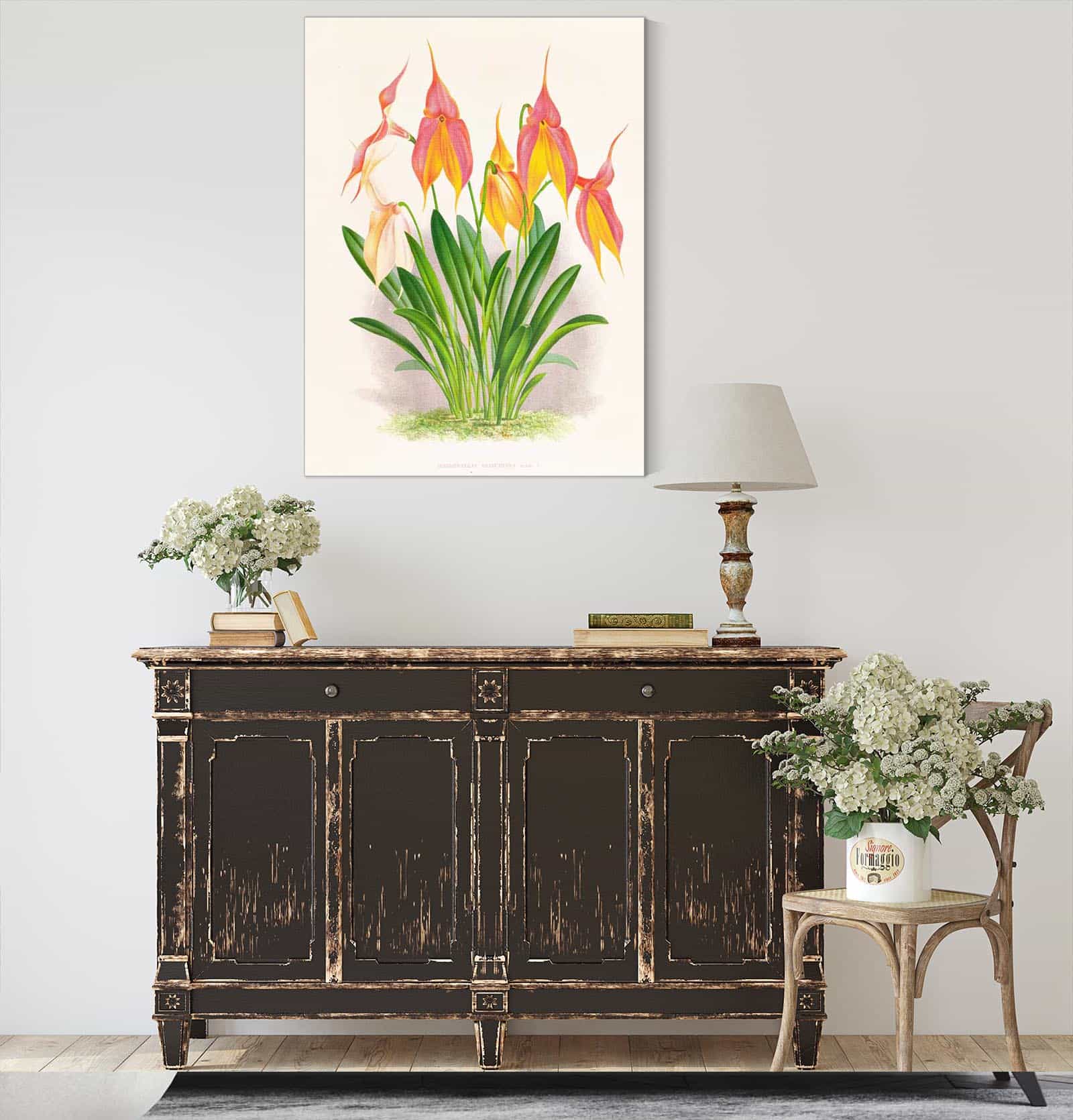 Masdevallia Veitchiana by Jean Jules Linden - Image 4