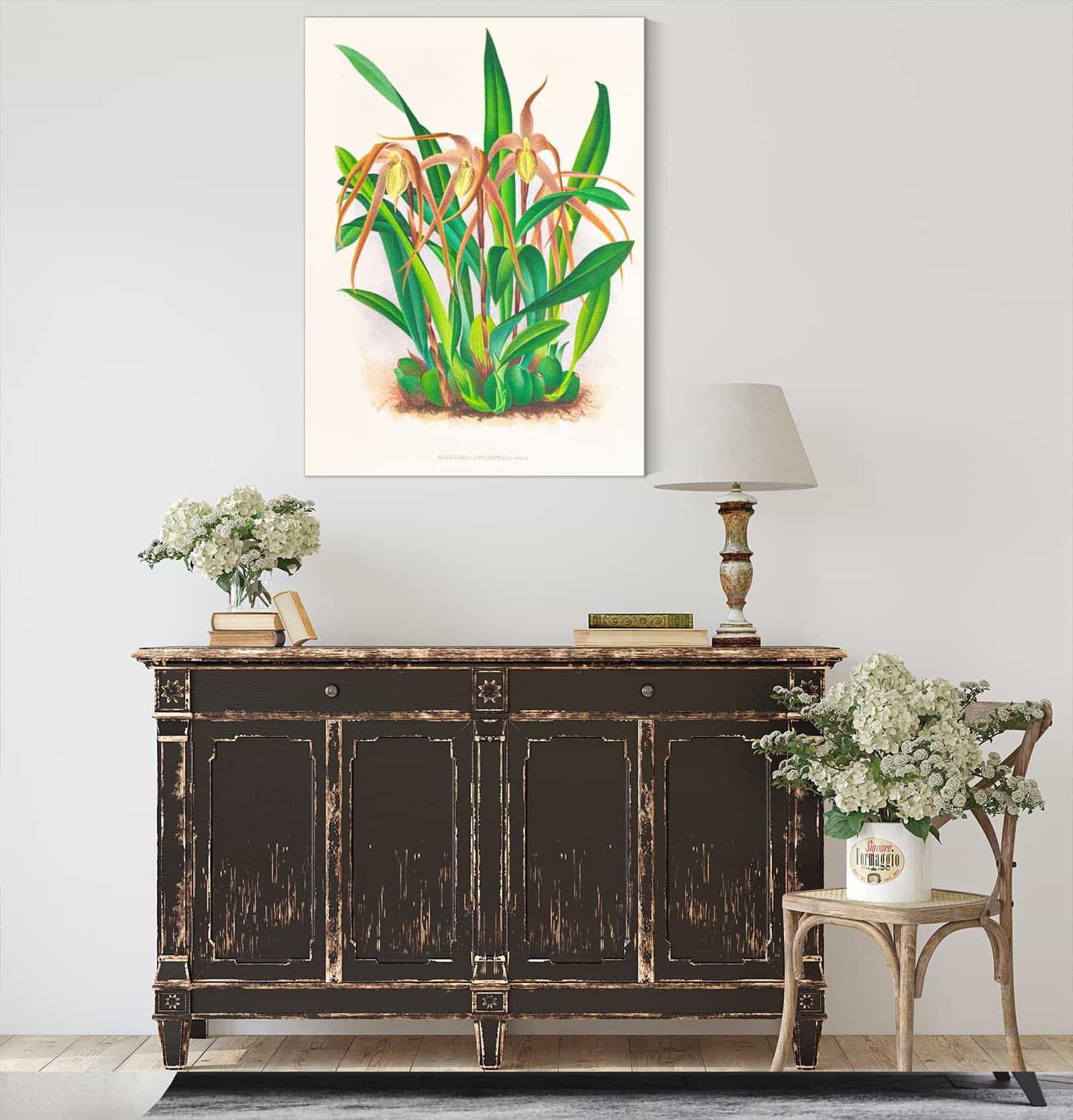 Maxillaria Longisepala by Jean Jules Linden - Image 4