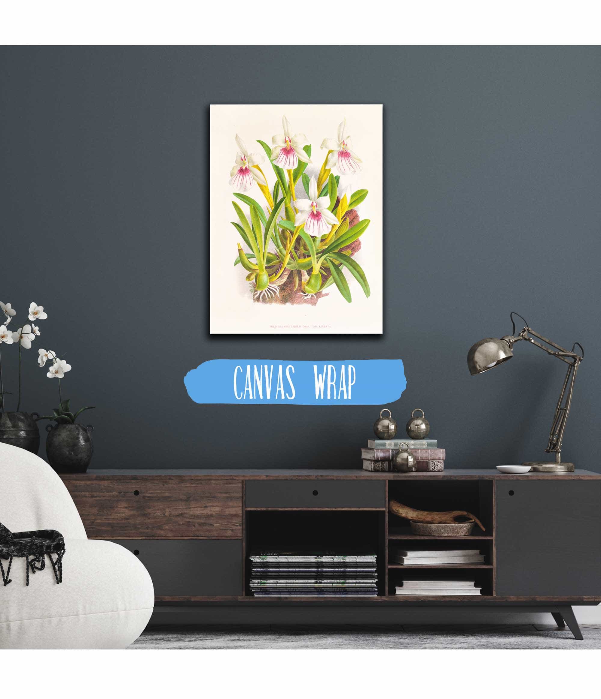 Miltonia Spectabilis by Jean Jules Linden - Image 3