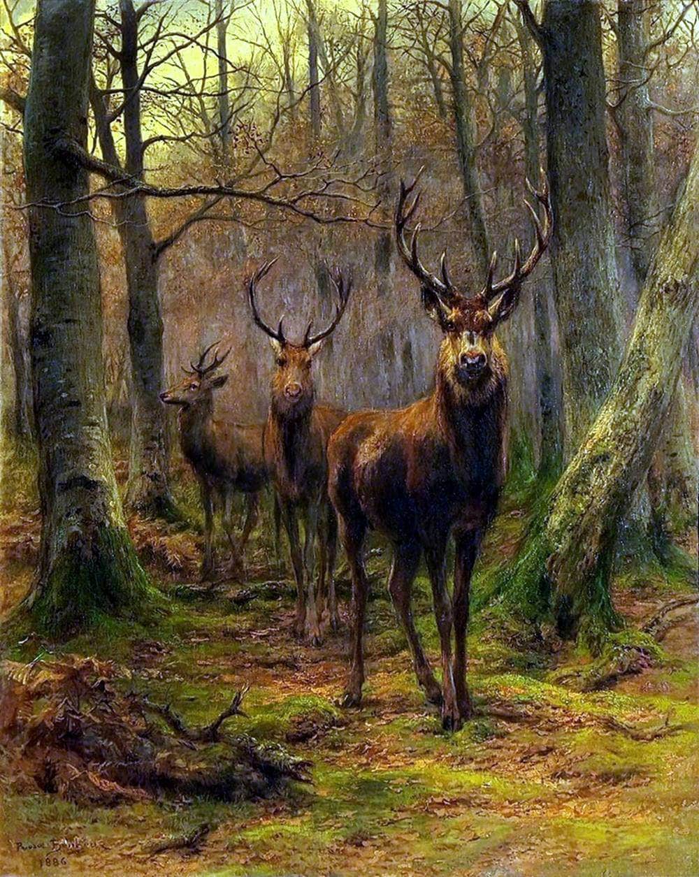 Monarch Of The Forest Painting Rosa Bonheur Canvas Art - Image 5