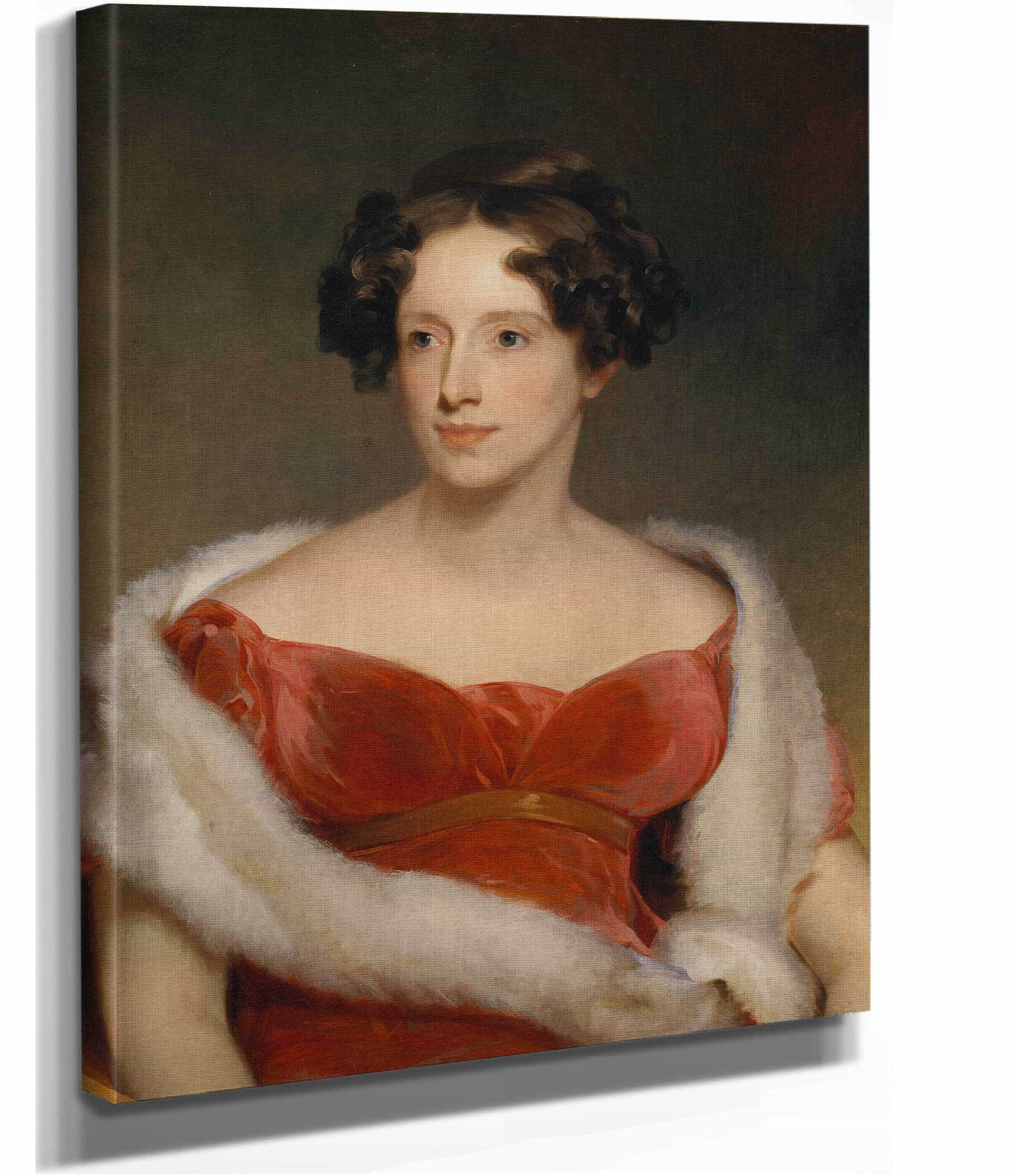 Mrs John Biddle Eliza Falconer Bradish by Thomas Sully - Image 2