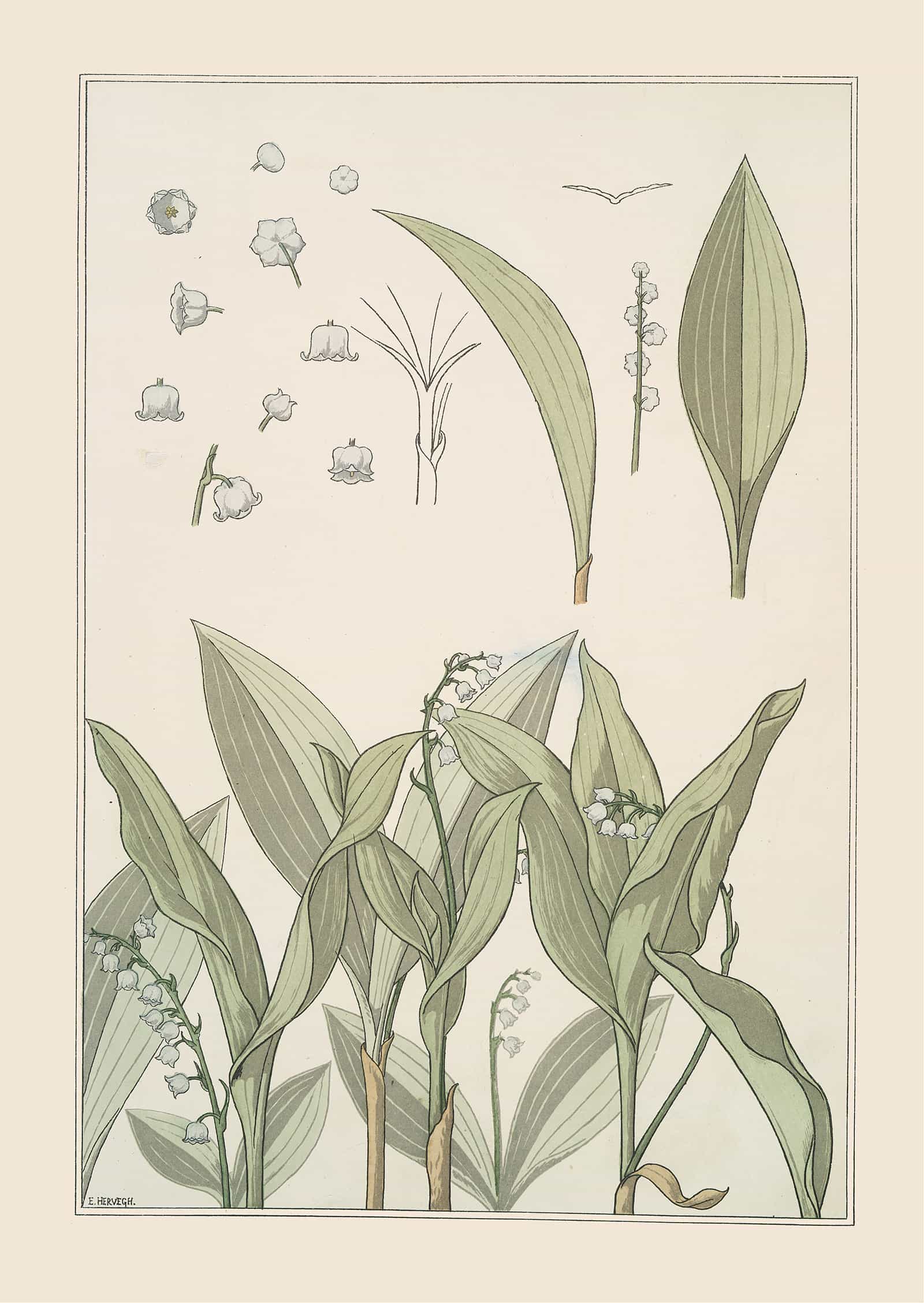 Muguet by Maurice Pillard Verneuil - Image 4