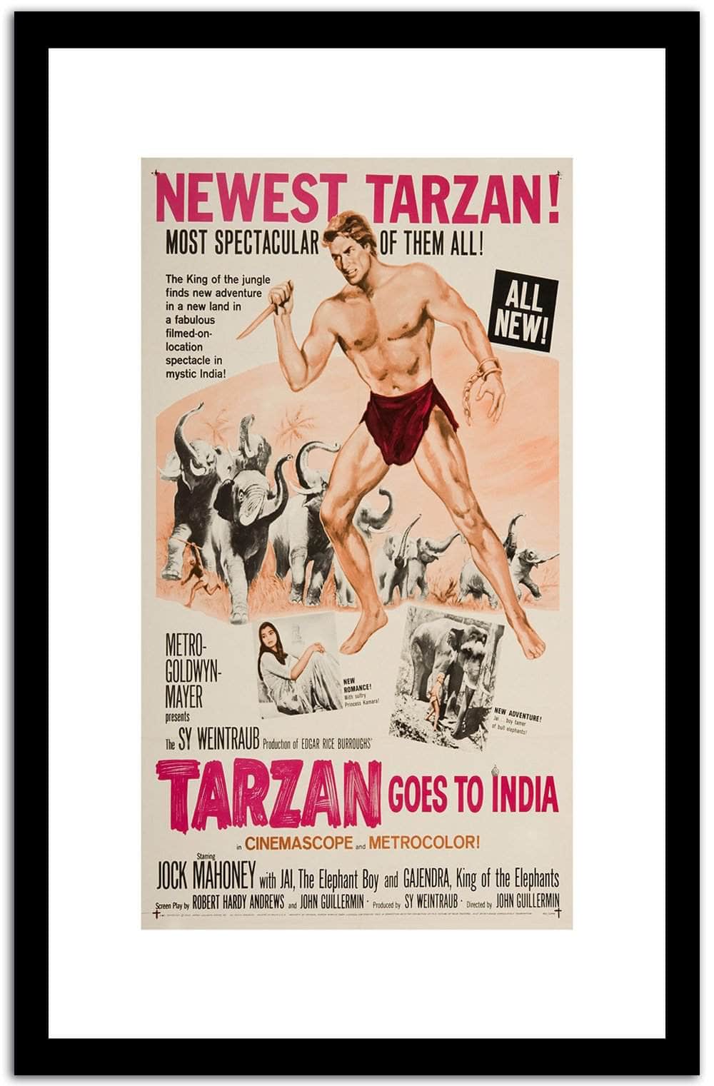 Newest Tarzal Vintage Poster