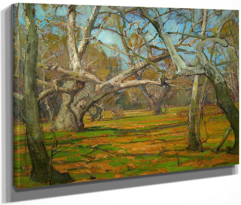 Oaks And Sycamores By William Wendt