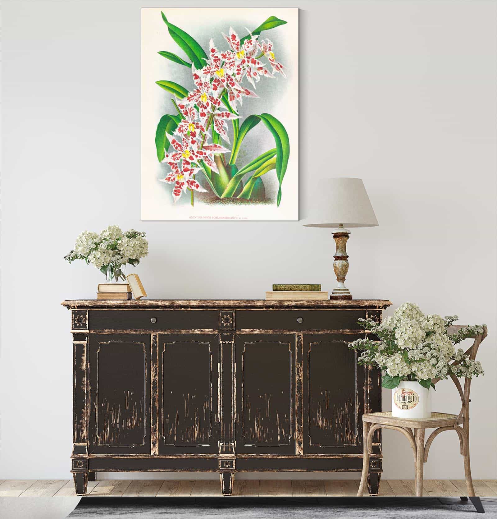 Odontoglossum Schlesingerianum by Jean Jules Linden - Image 4