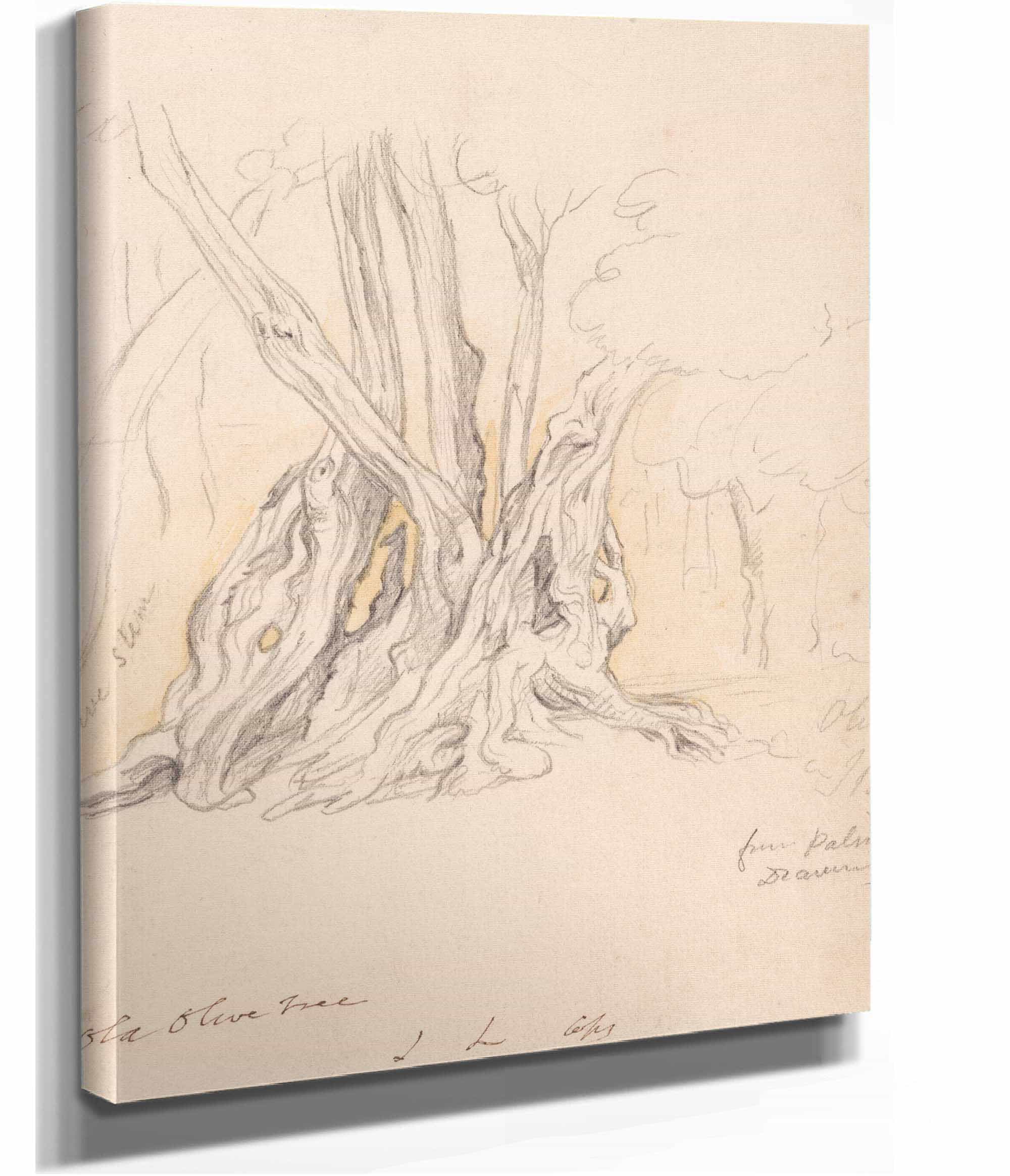 Old Olive Tree by John Linnell