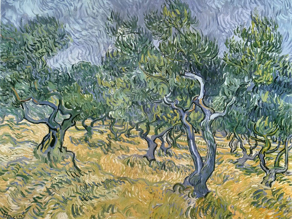 Olive Grove By Vincent Van Gogh - Image 7