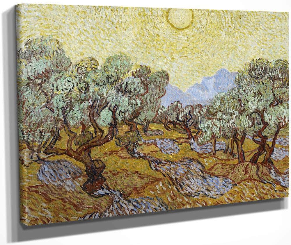 Olive Trees By Vincent Van Gogh