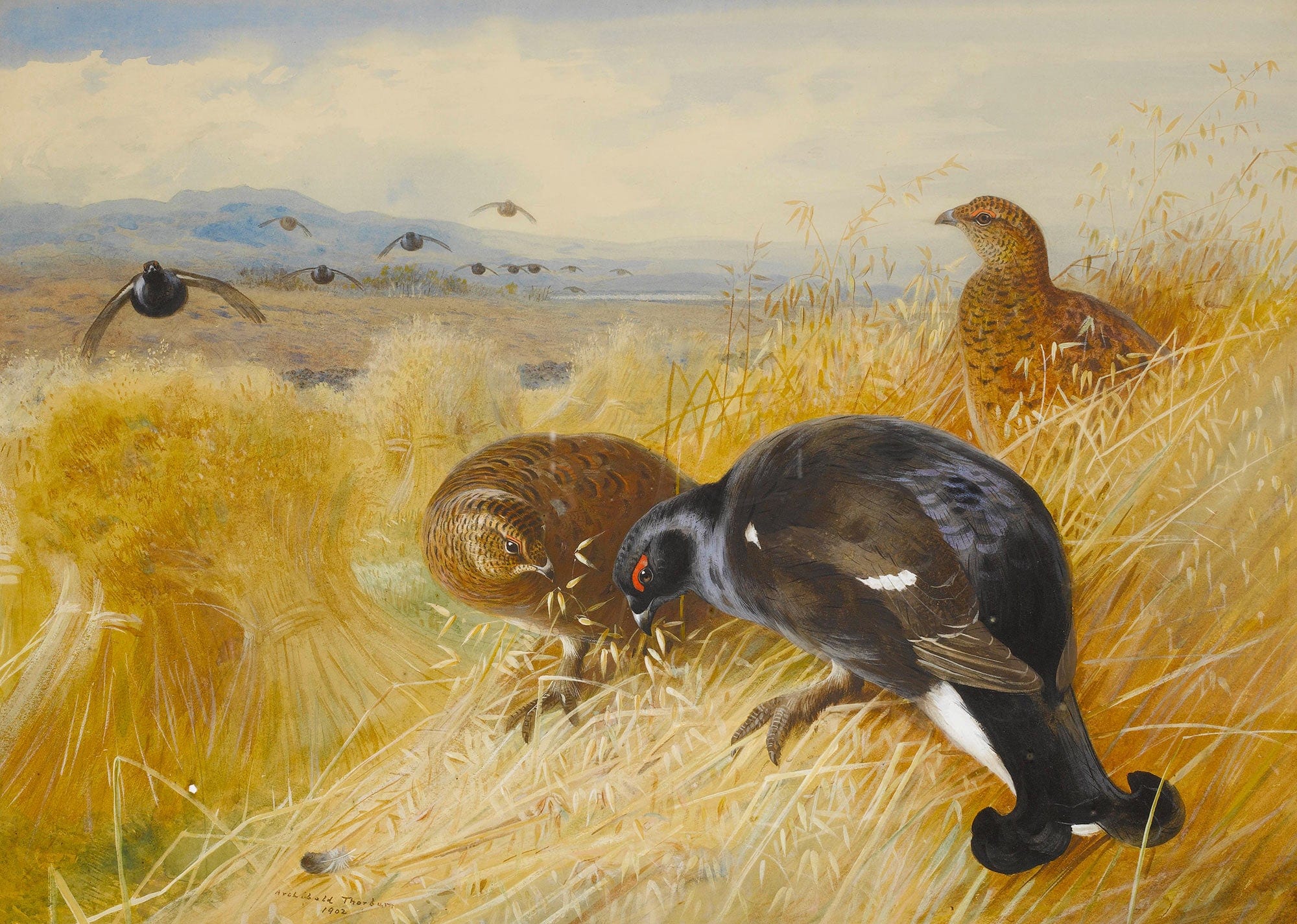 On The Stooksblackgame by Archibald Thorburn