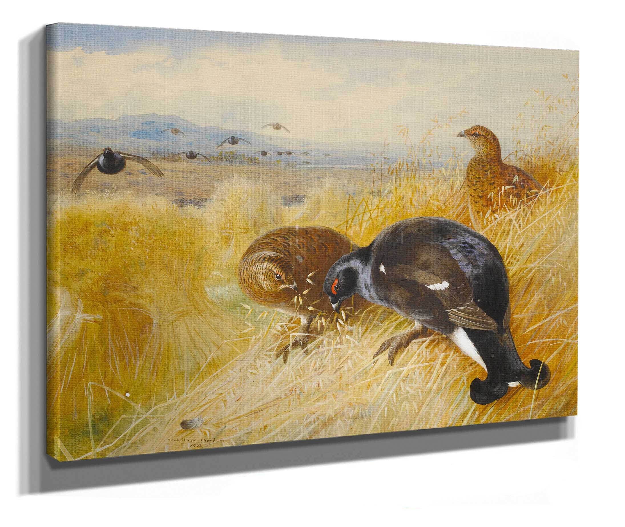 On The Stooksblackgame by Archibald Thorburn - Image 2