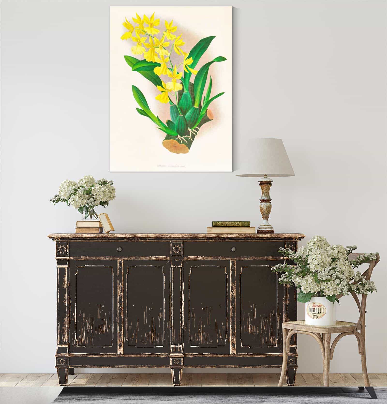 Oncidium Concolor by Jean Jules Linden - Image 4