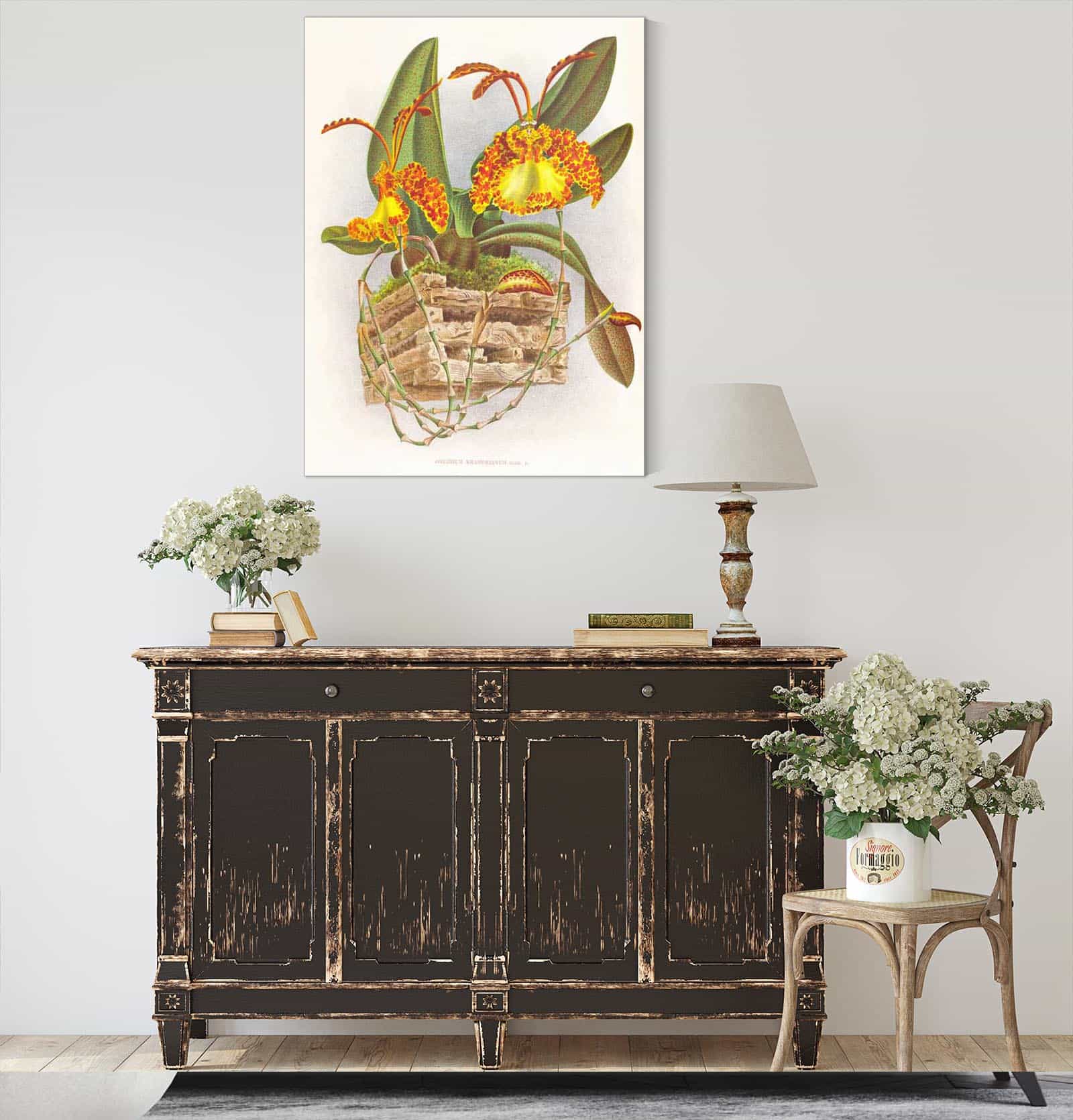 Oncidium Kramerianum by Jean Jules Linden - Image 4