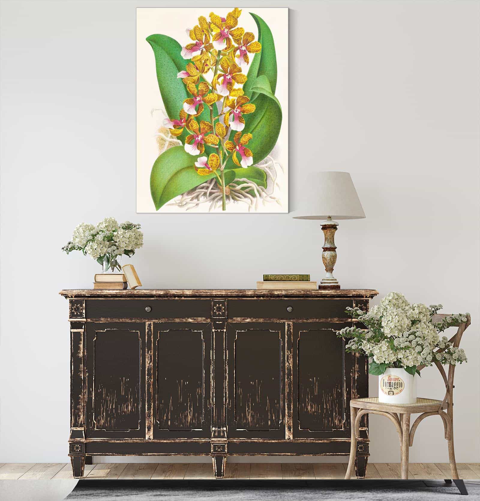 Oncidium Lannceanum by Jean Jules Linden - Image 4