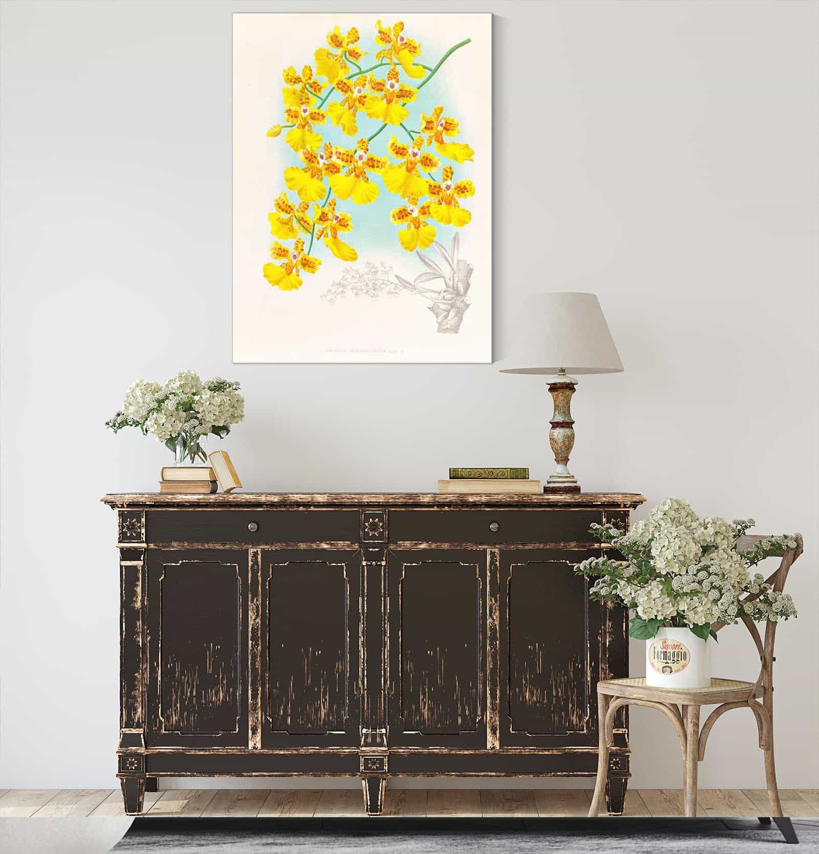 Oncidium Marshallianum by Jean Jules Linden - Image 4