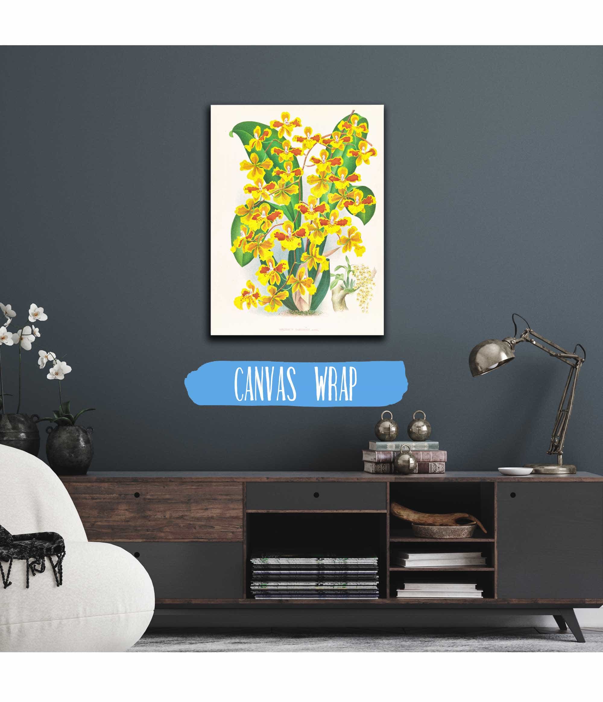 Oncidium Sarcodes by Jean Jules Linden - Image 3