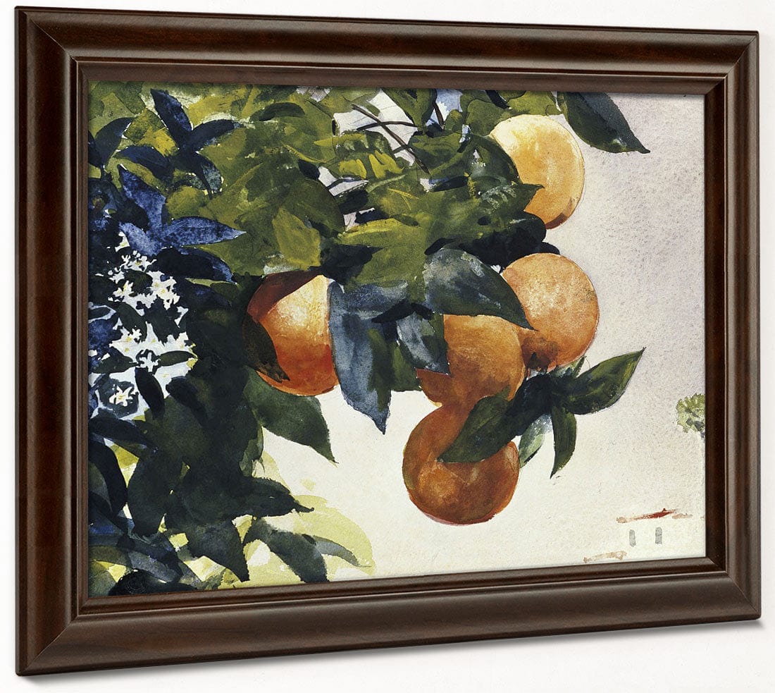 Oranges On A Branch By Winslow Homer - Image 6