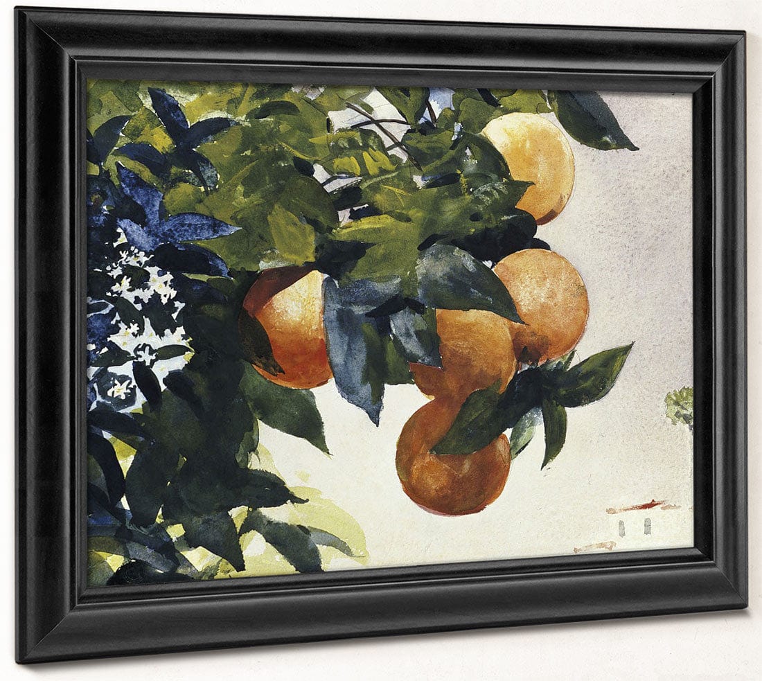 Oranges On A Branch By Winslow Homer - Image 8