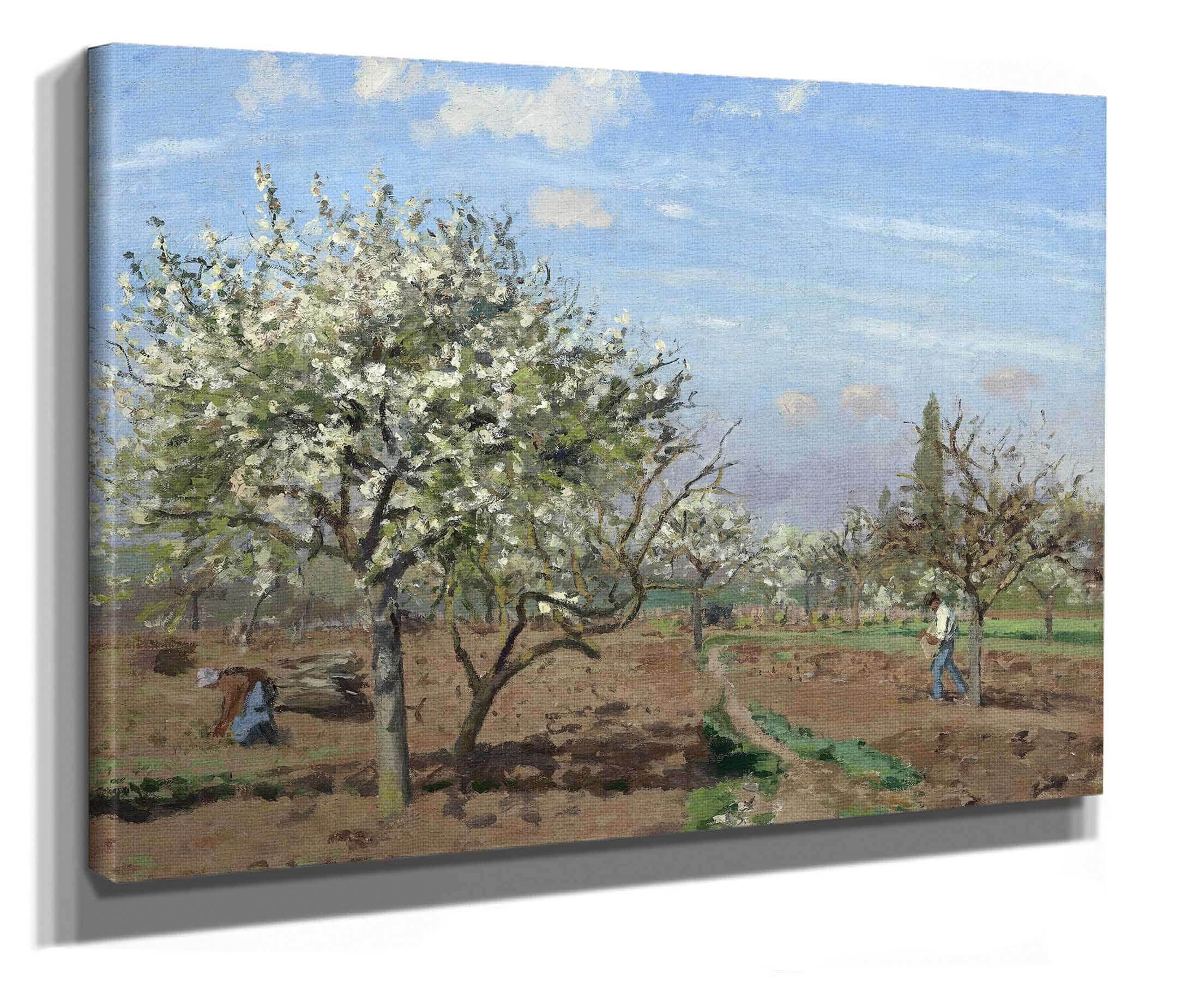 Orchard In Bloomlouveciennes by Camille Pissarro - Image 2