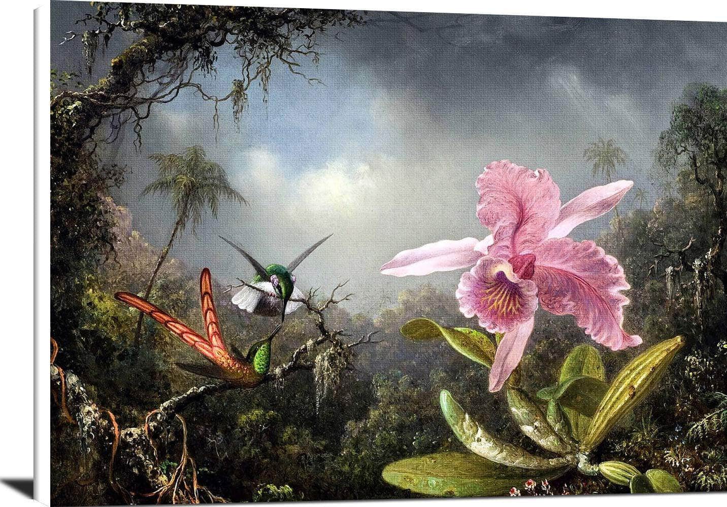 Orchid With Two Hummingbirds Painting Martin Johnson Heade Canvas Art