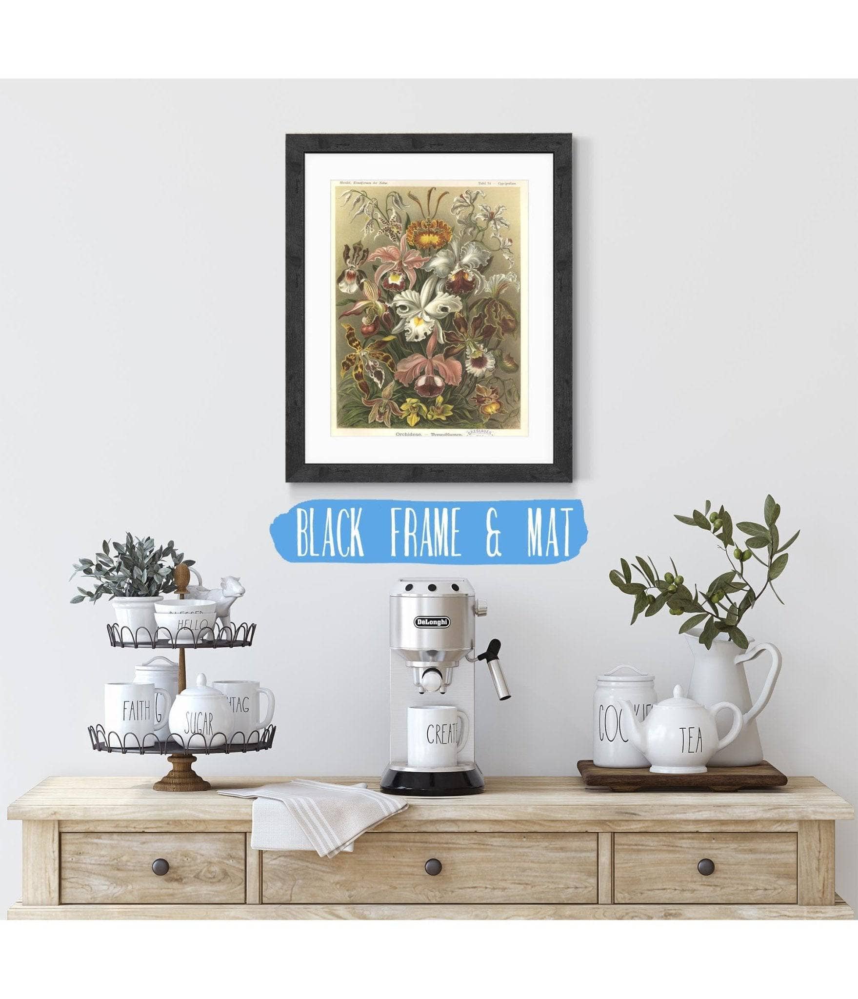 Orchideae - Denusblumen - Image 4