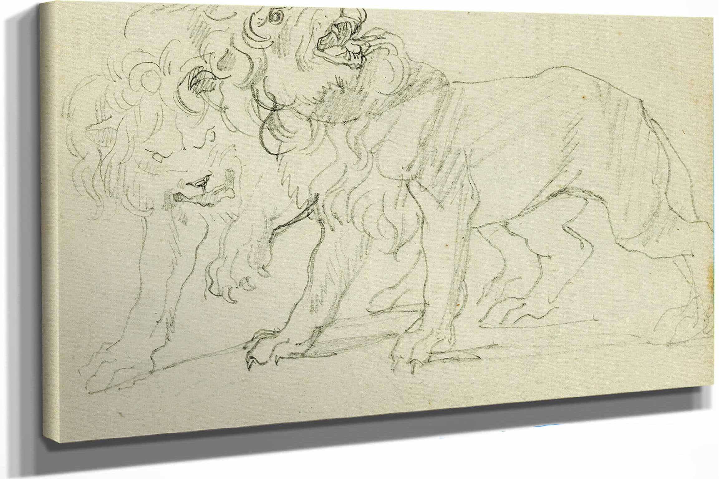 Pair Of Lions by Theodore Gericault
