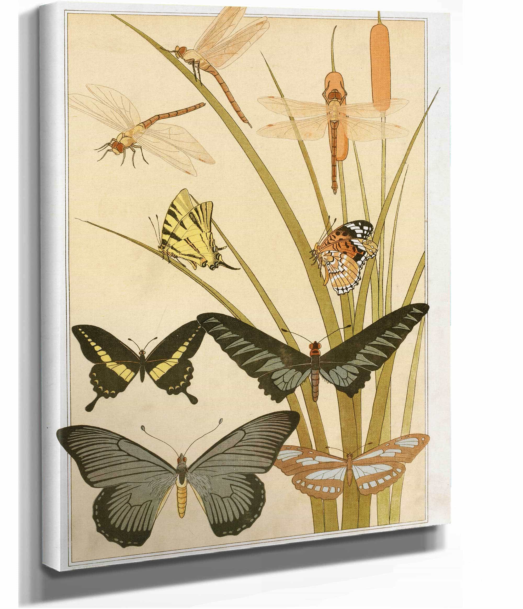 Papillons by Maurice Pillard Verneuil - Image 2