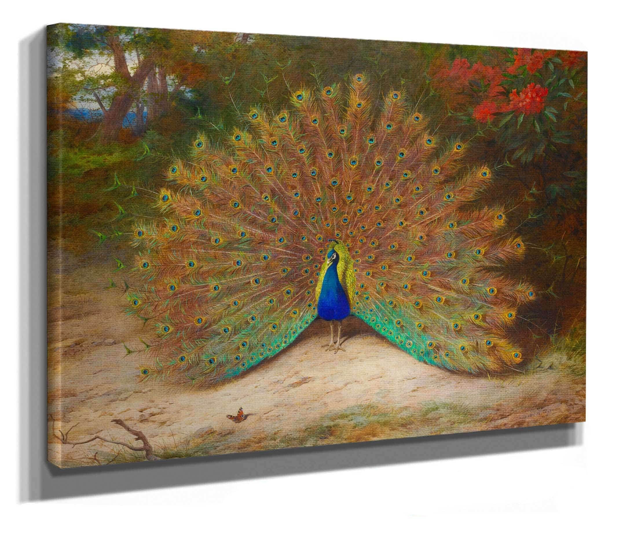 Peacock And Peacock Butterfly by Archibald Thorburn - Image 2