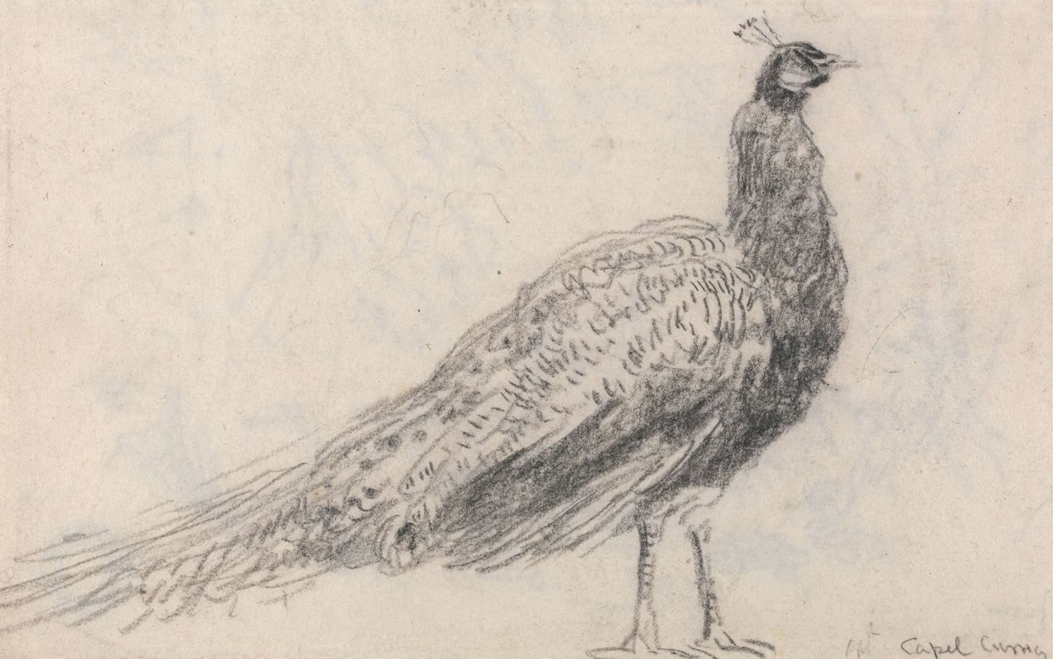 Peacock At Capel Curig S by David Cox - Image 2