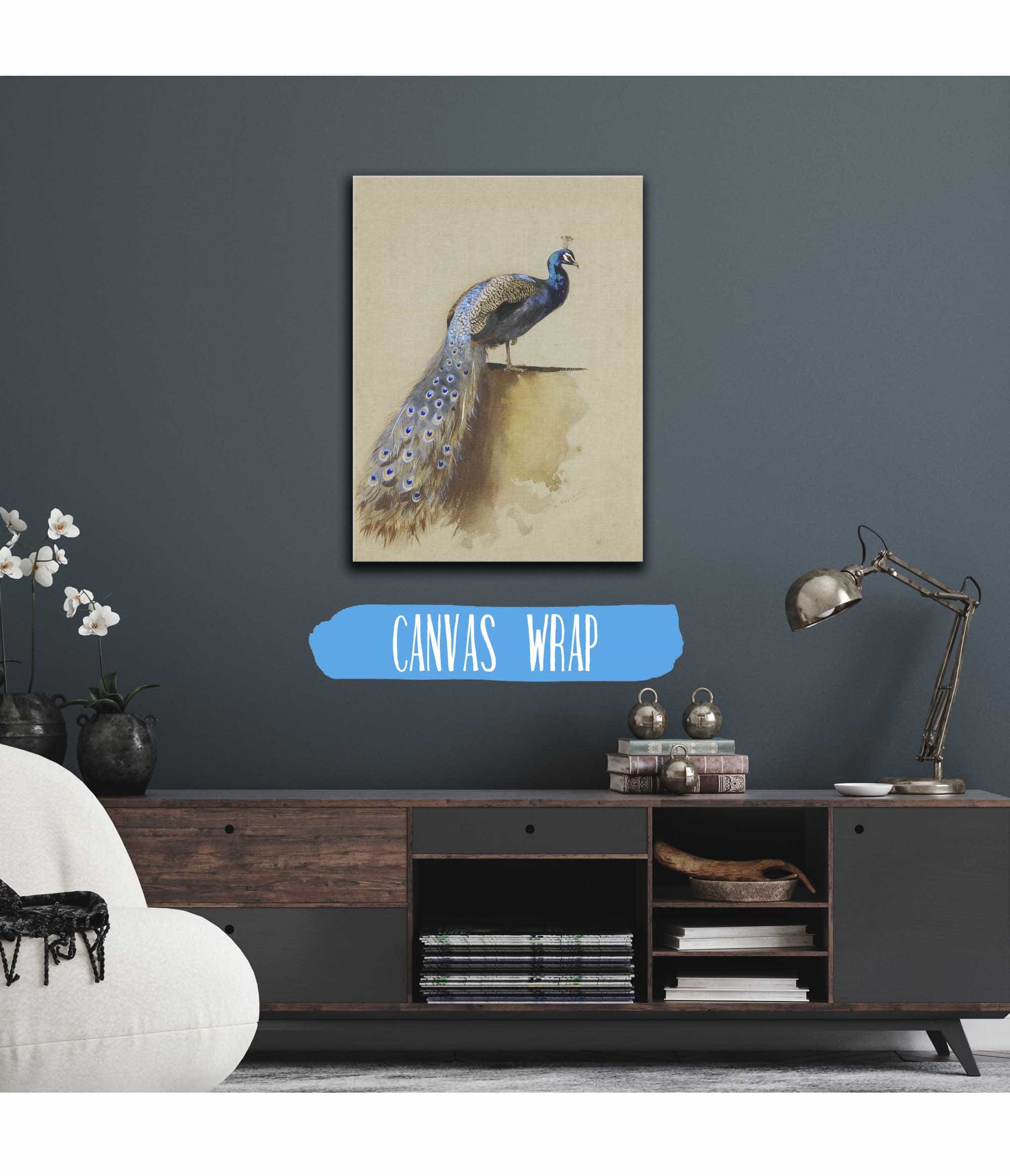 Peacock by Archibald Thorburn - Image 3