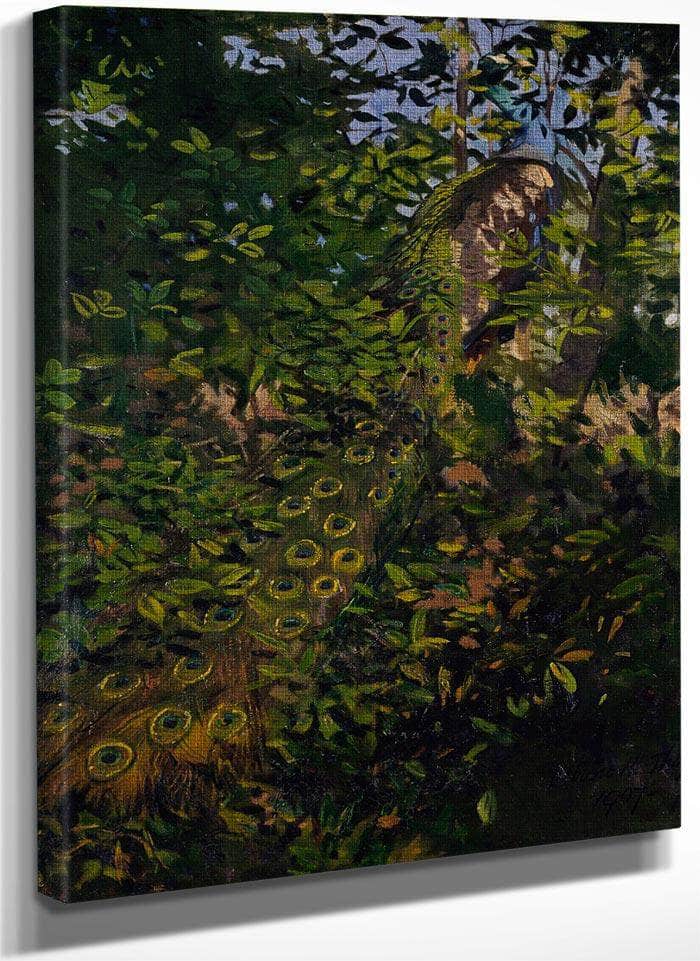 Peacock In The Woods, Study For Book Concealing Coloration In The Animal Kingdom By Abbott Handerson Thayer