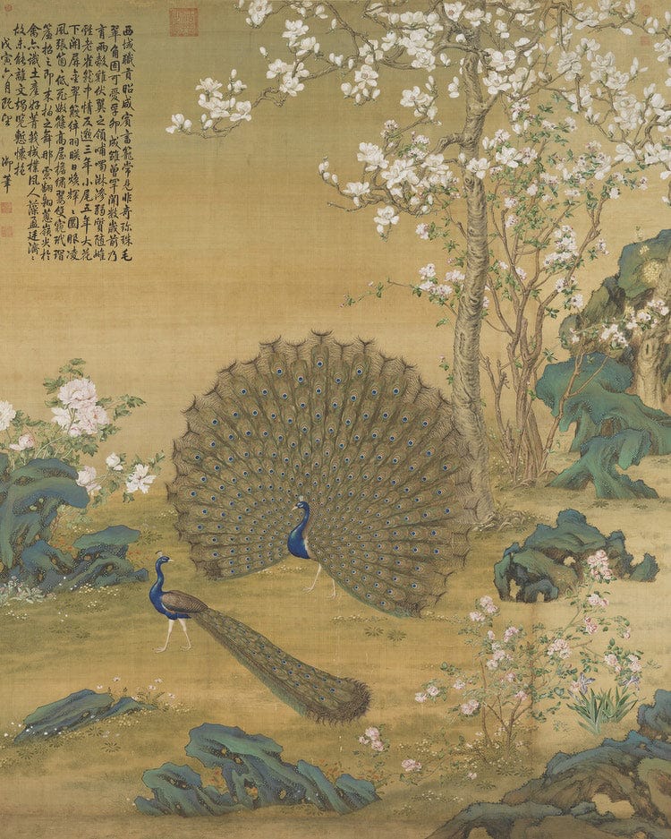 Peacock Spreading Its Tail Feathers 1758 By Giuseppe Castiglione - Image 6