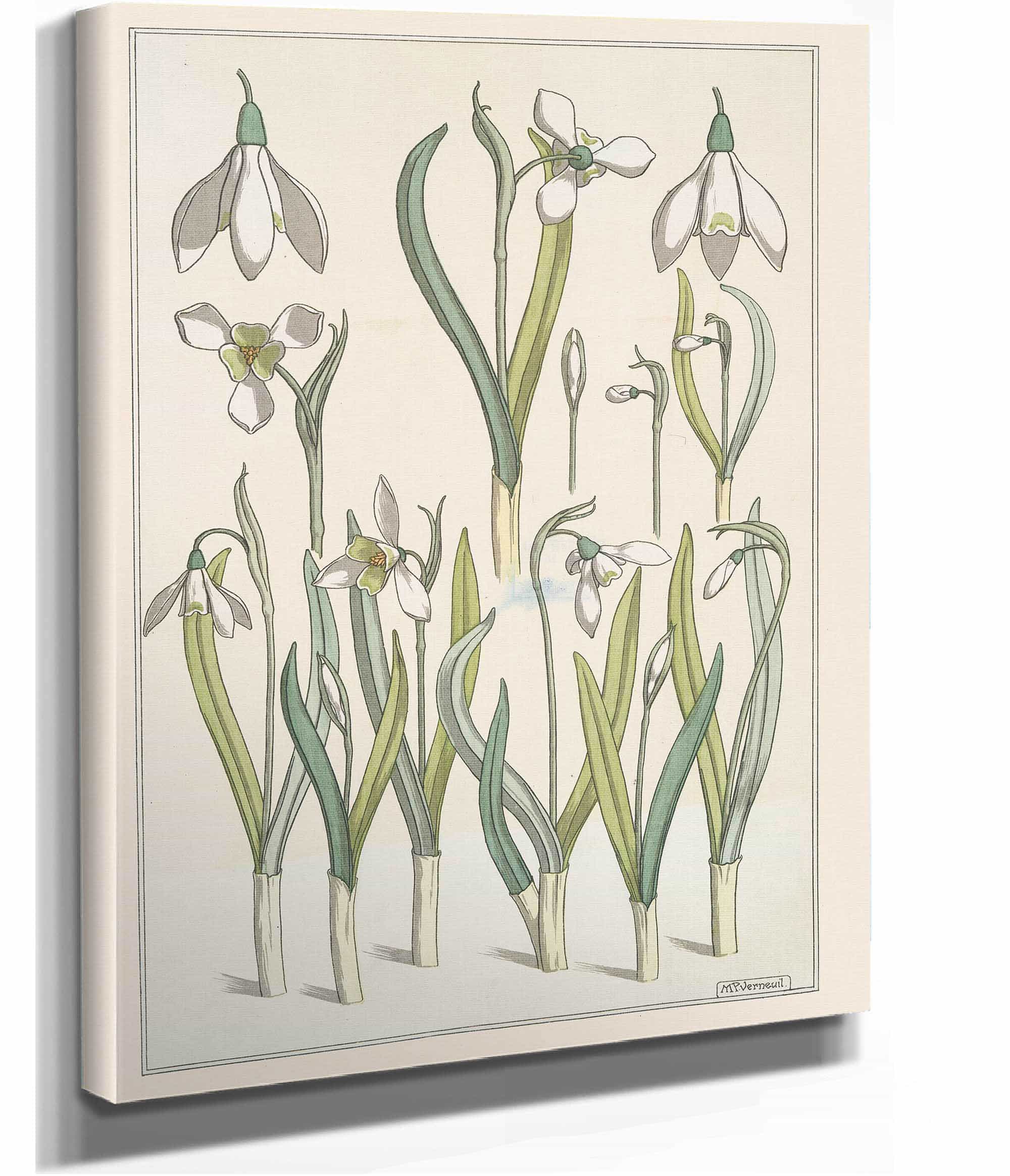 Perce Neige by Maurice Pillard Verneuil - Image 3