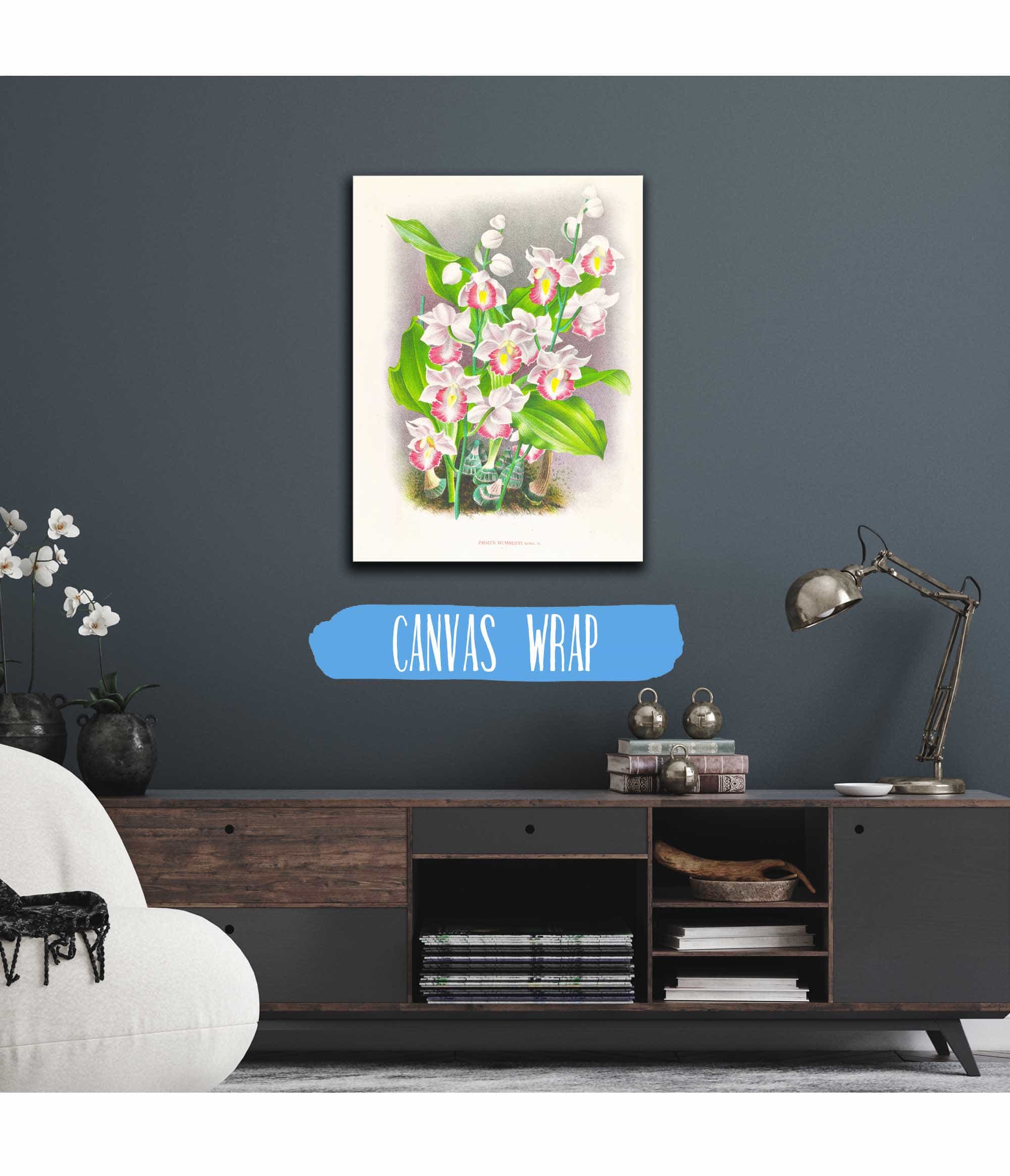 Phaius Humbloti by Jean Jules Linden - Image 3