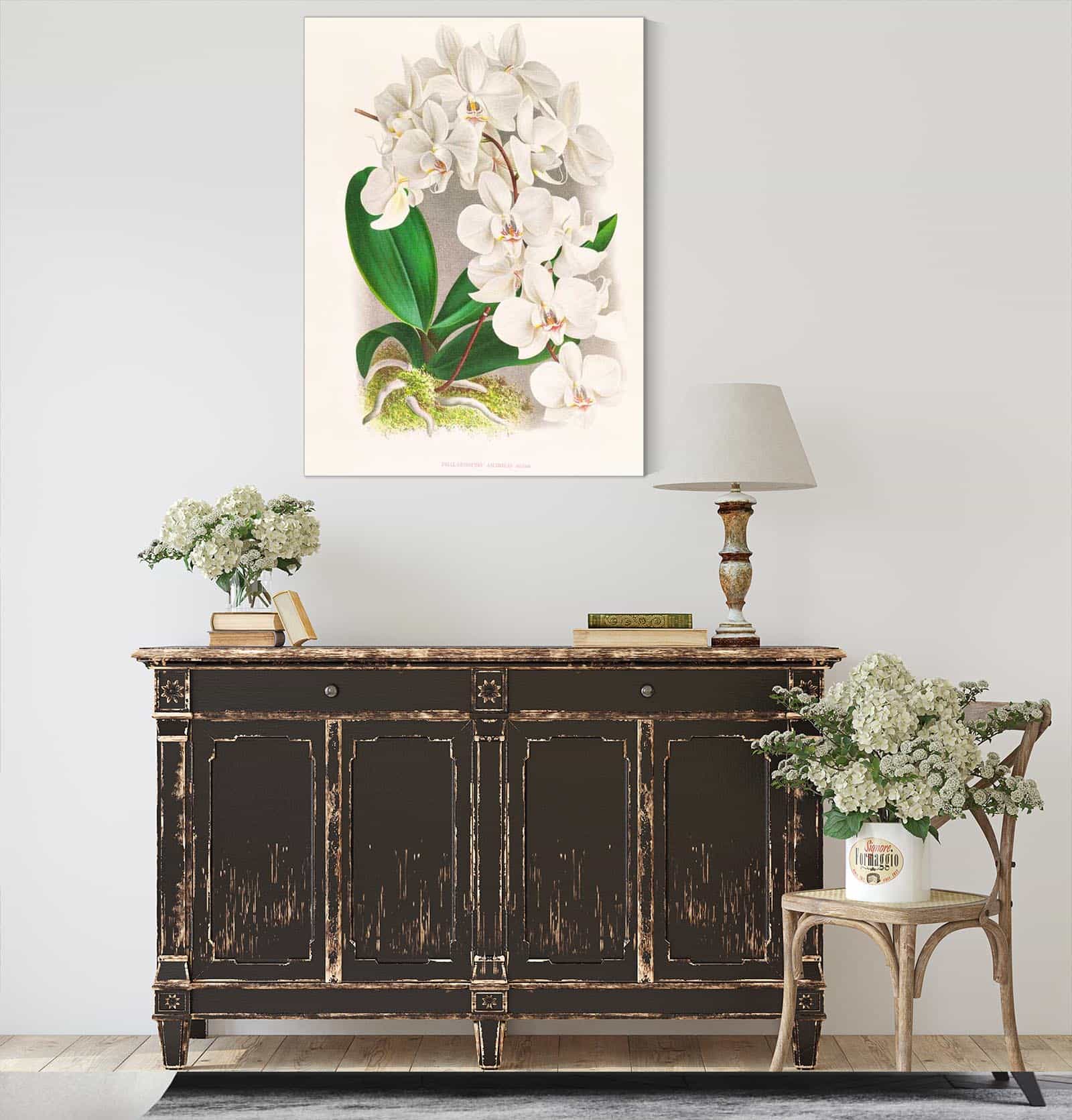 Phalaenopsis Amabilis by Jean Jules Linden - Image 4