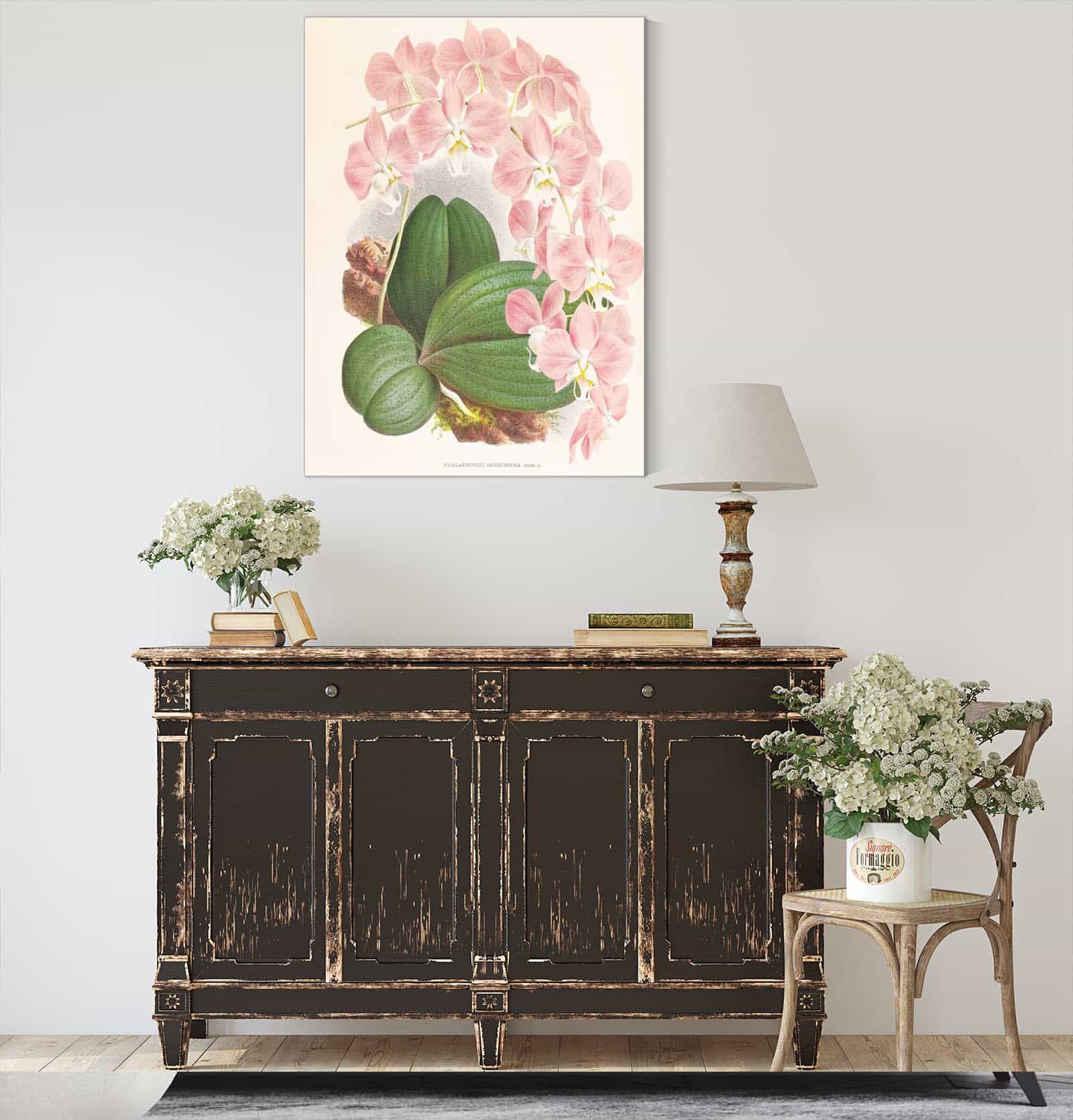 Phalaenopsis Sanderiana by Jean Jules Linden - Image 4