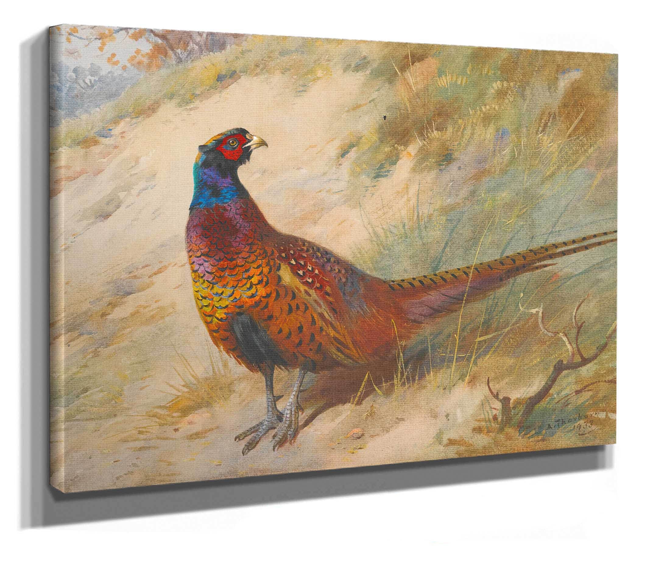 Pheasant by Archibald Thorburn - Image 2