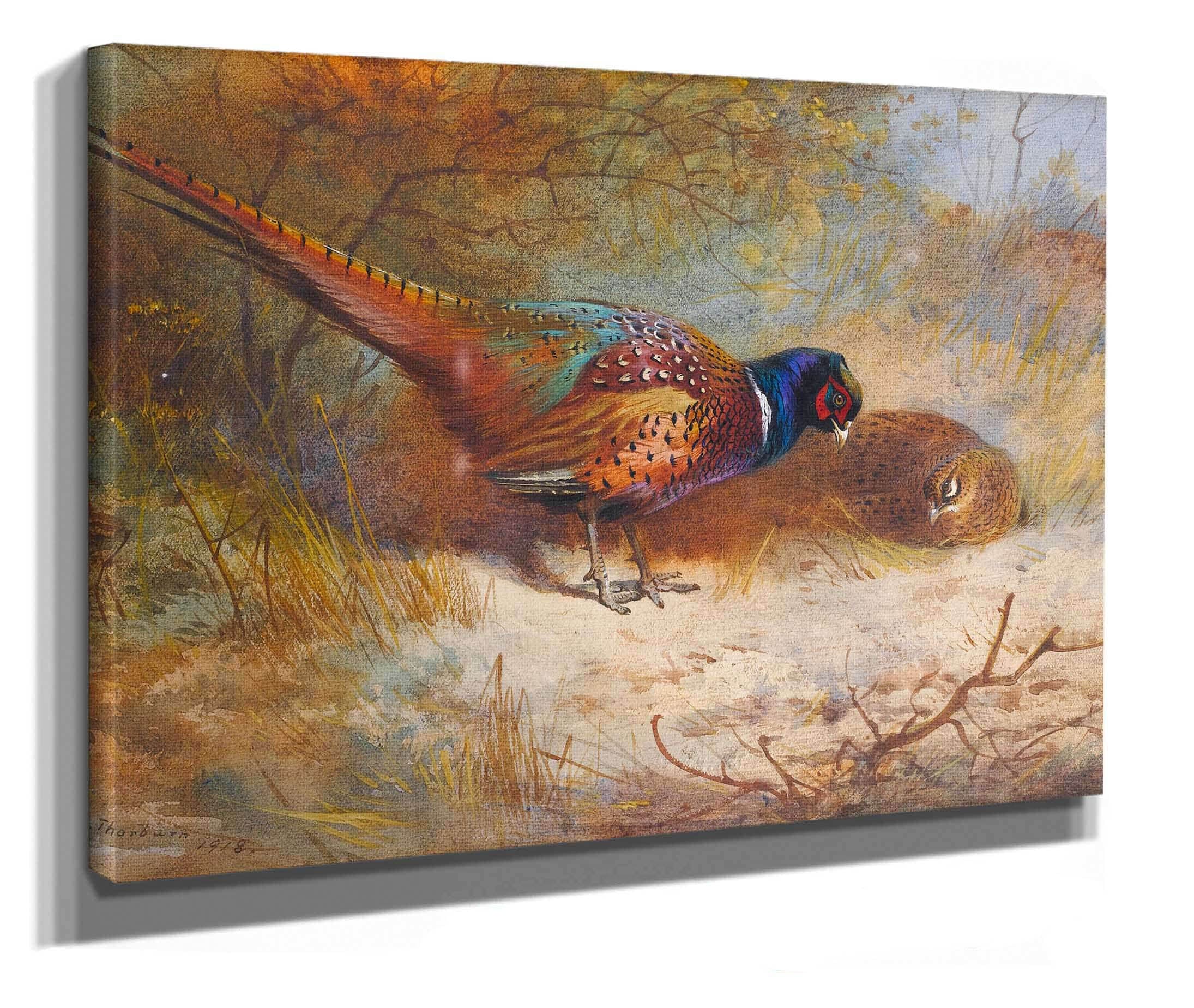 Pheasants by Archibald Thorburn - Image 2