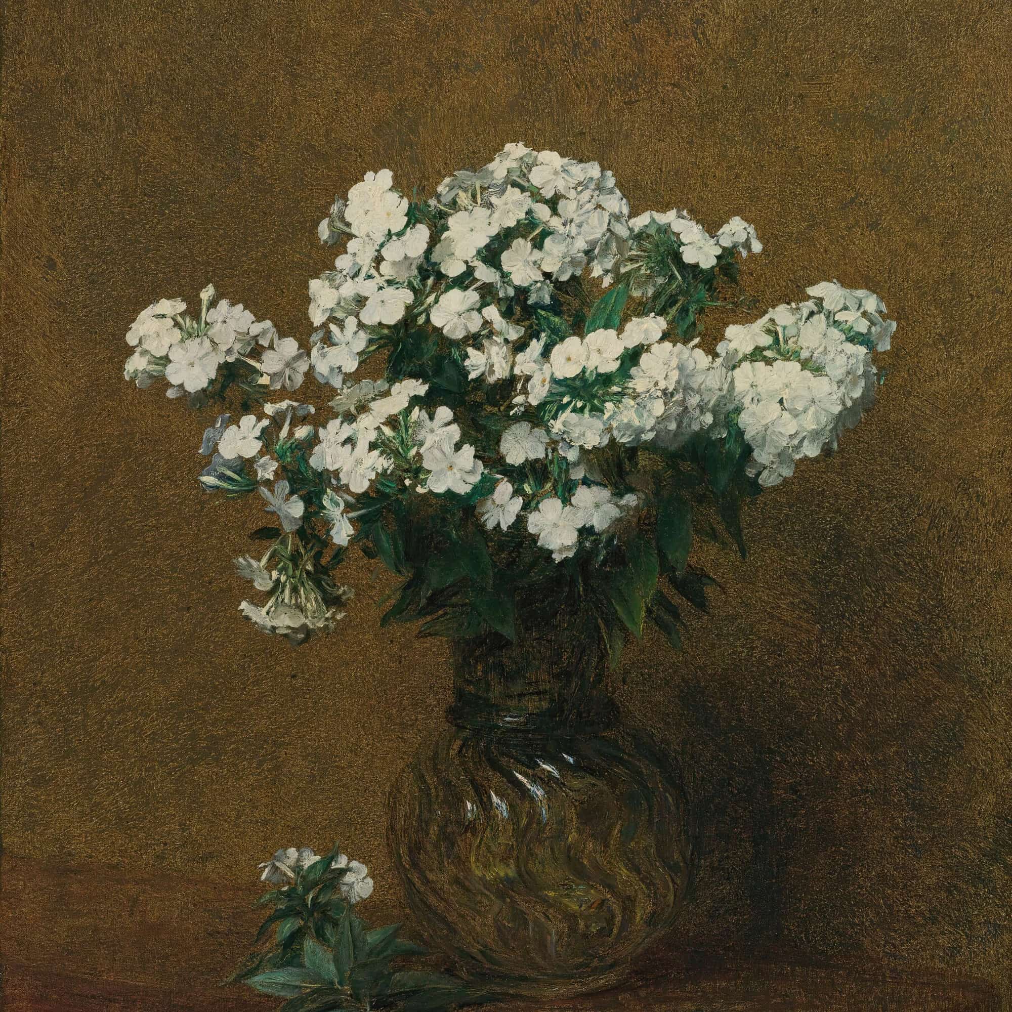 Phlox Blancs Dans Un Vase by Henri Fantin Latour - Image 4
