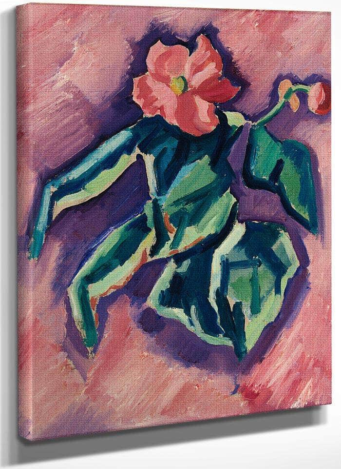 Pink Begonias By Marsden Hartley