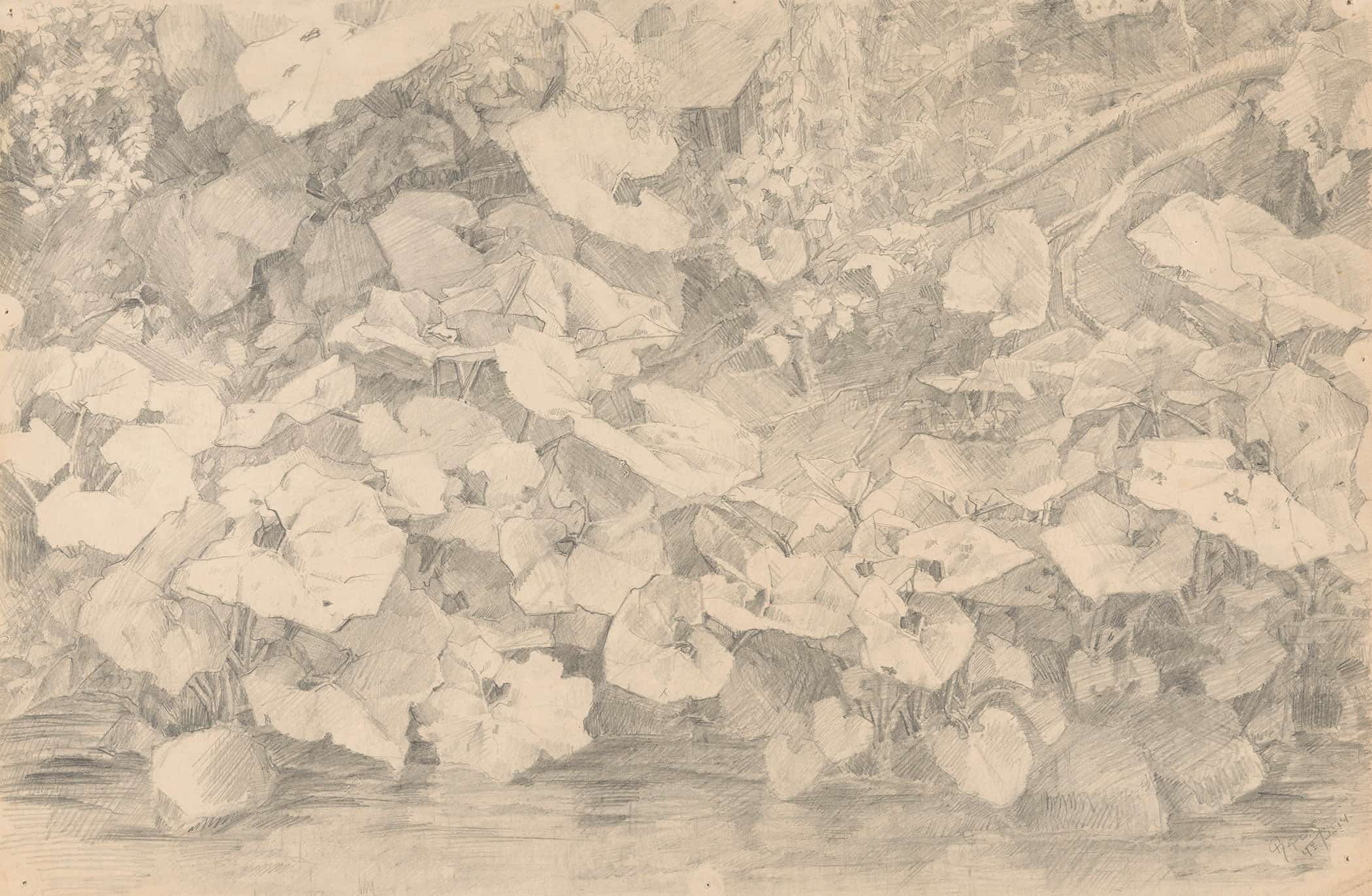 Planten Aan De Waterkant by Reijer Stolk - Image 2