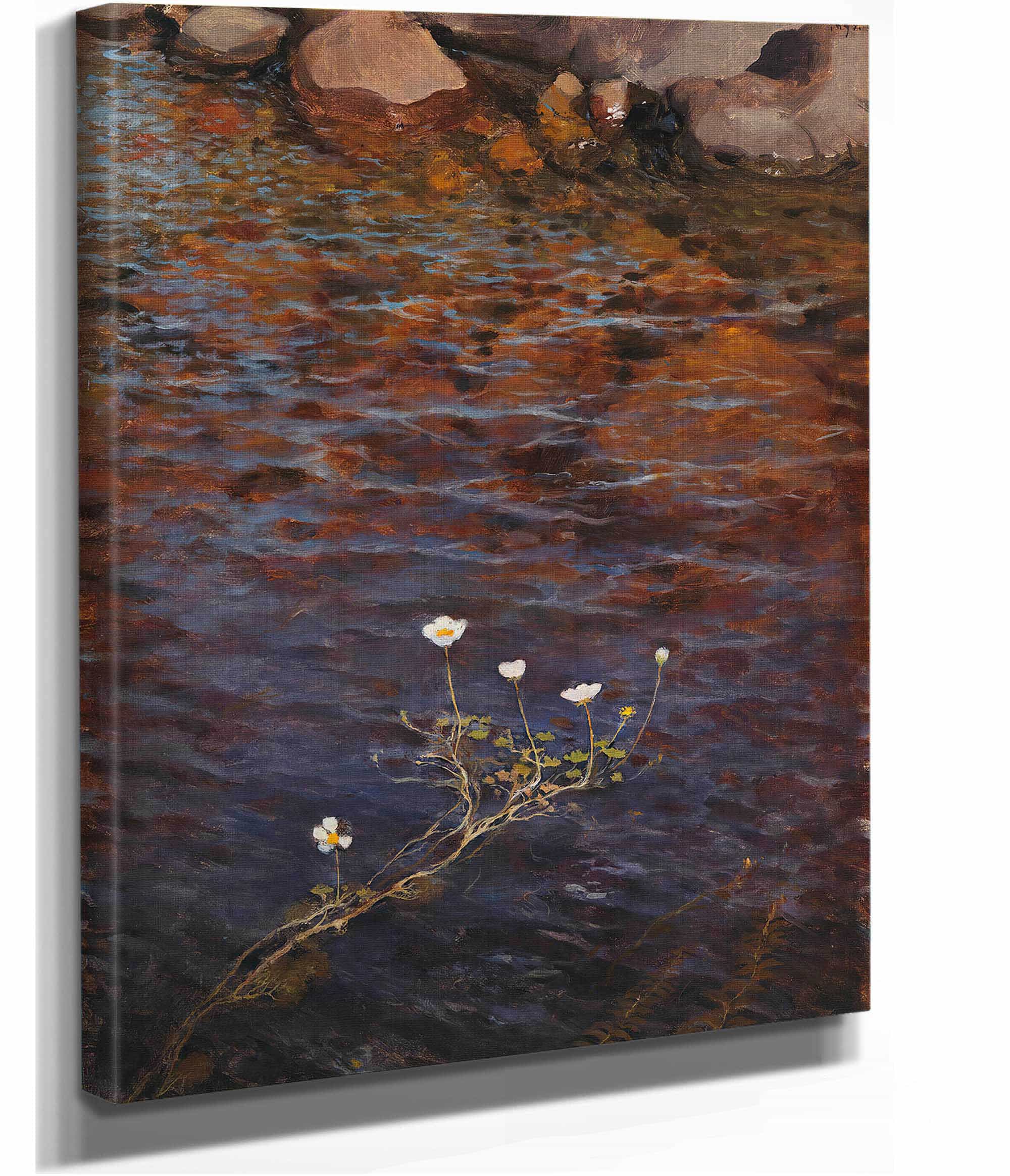 Pond Water Crowfoot by Eero Jarnefelt - Image 2
